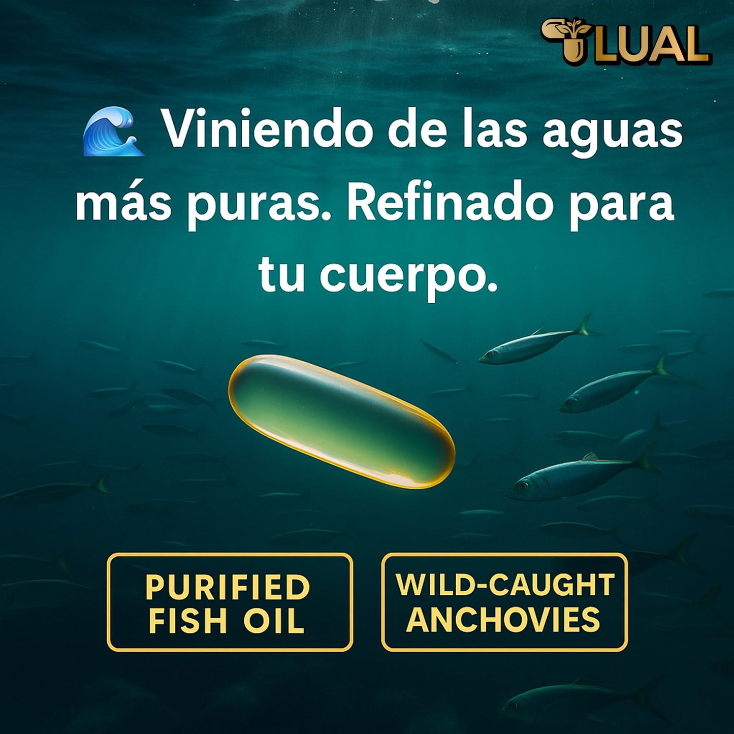 LUAL Omega-3 Fish Oil 2000mg with Vitamin D3 1,000 IU Softgels, 120 Count