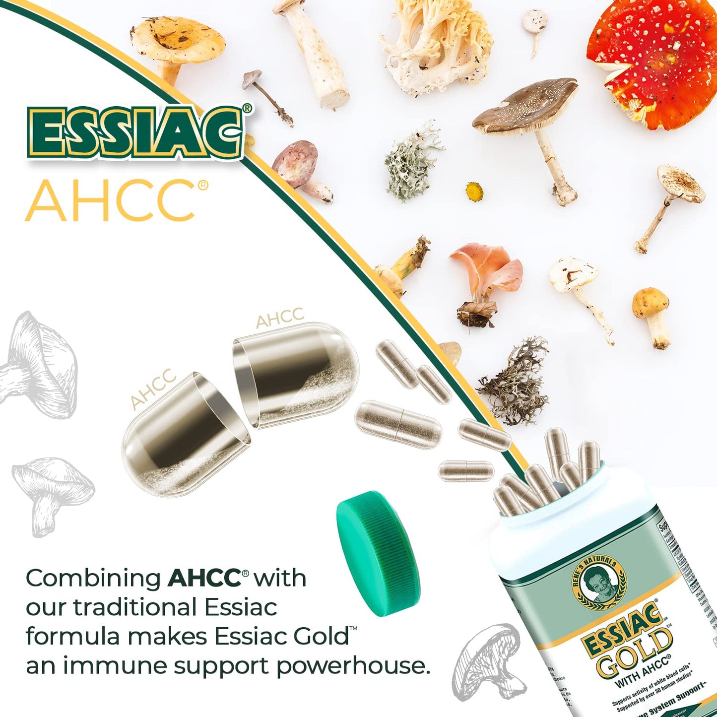 Essiac Power Bundle Tea Daily Drops Gold w/AHCC Mushroom Extract 2 Capsules
