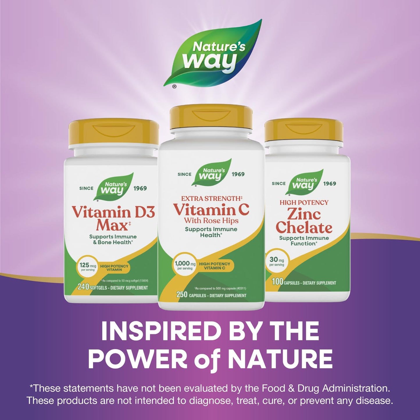 Nature's Way Vitamin C with Rose Hips Extra Strength Capsules 250 Count