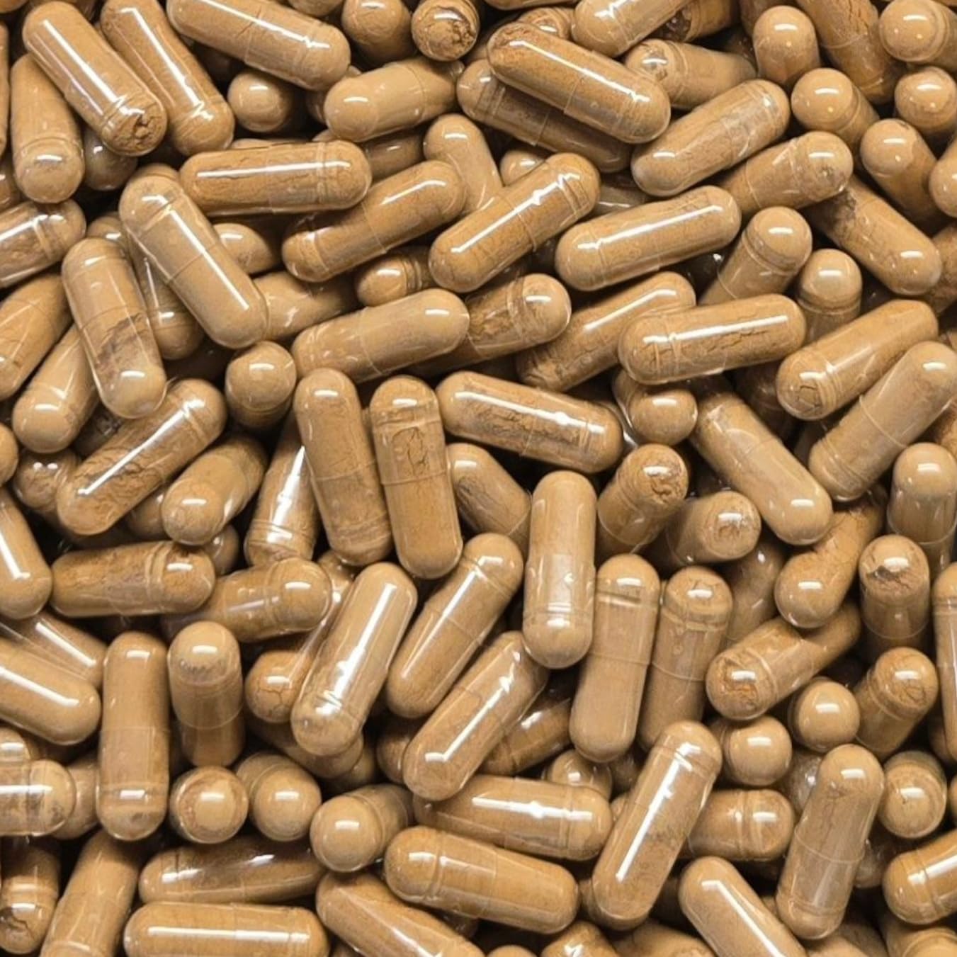 Generic Reishi Mushroom Extract 10:1 Capsule, 1 Count