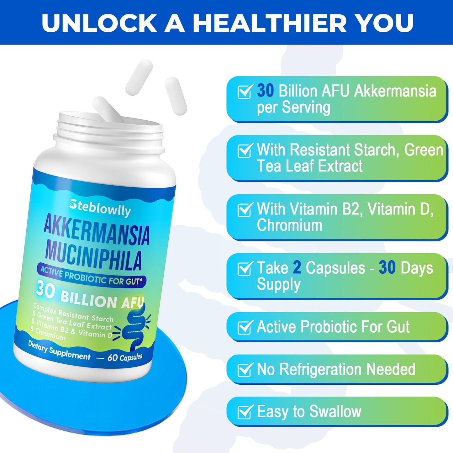 Steblowlly Akkermansia Muciniphila for Gut Health, Capsules, 60