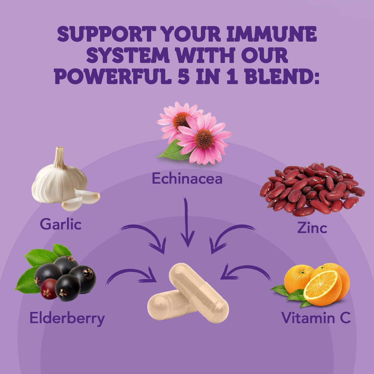 Vitamin Bounty Elderberry Immune Support Capsules, 120 Capsules