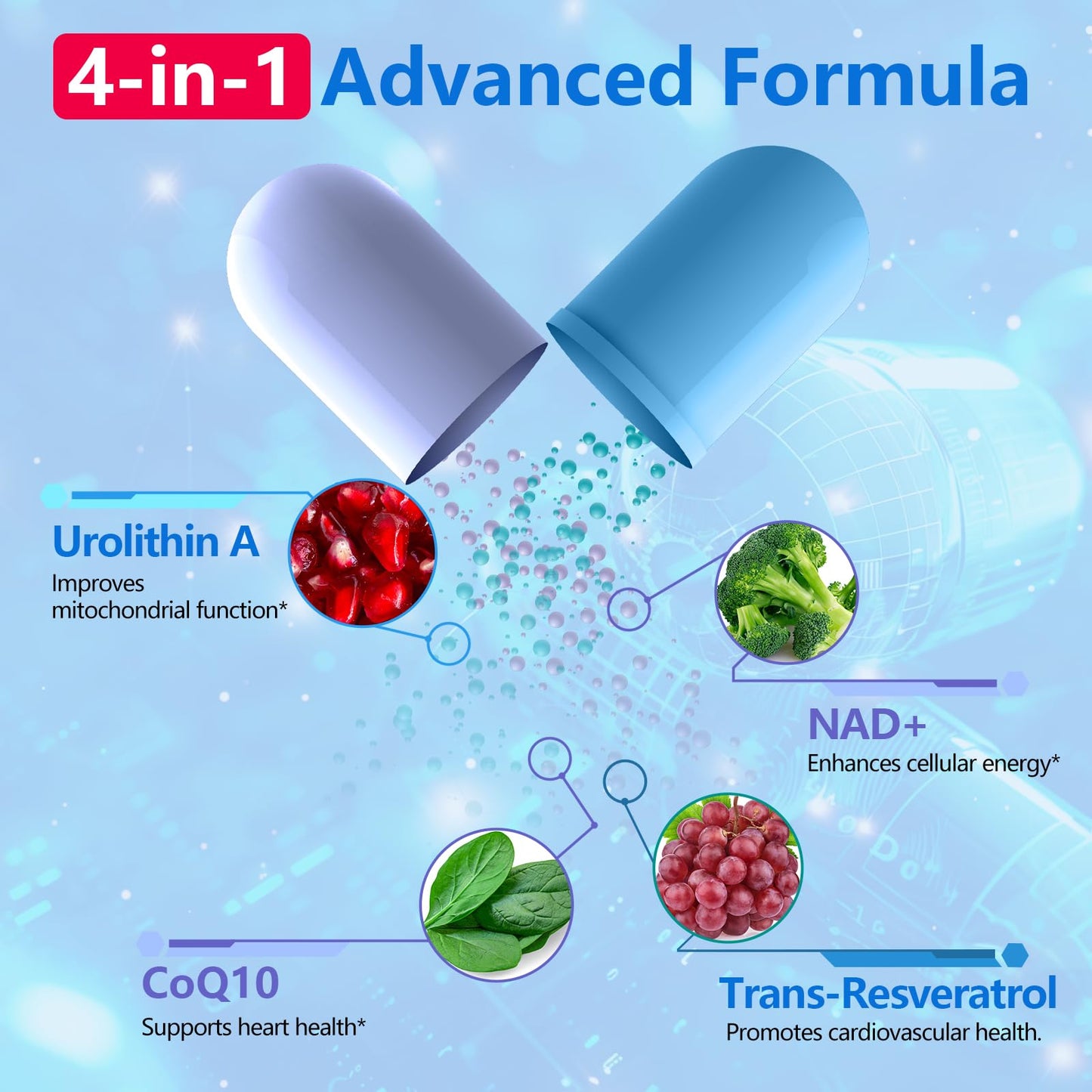 inGreens Urolithin A 1000mg with NAD+ 300mg, CoQ10 200mg, and Trans-Resveratrol 200mg Softgels, 300 Count