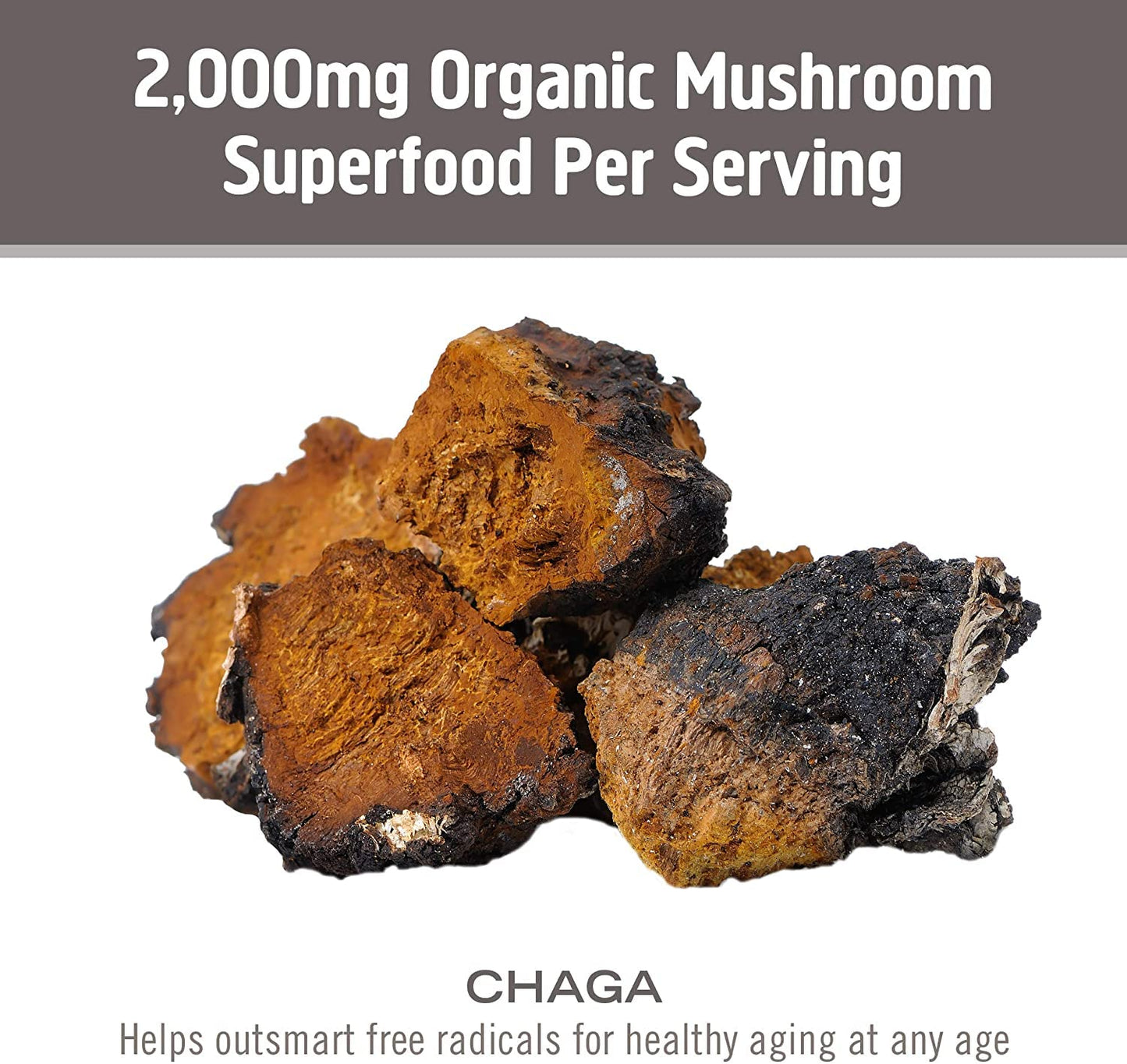 OM MUSHROOM SUPERFOOD Chaga Mushroom Capsules, 90 Count