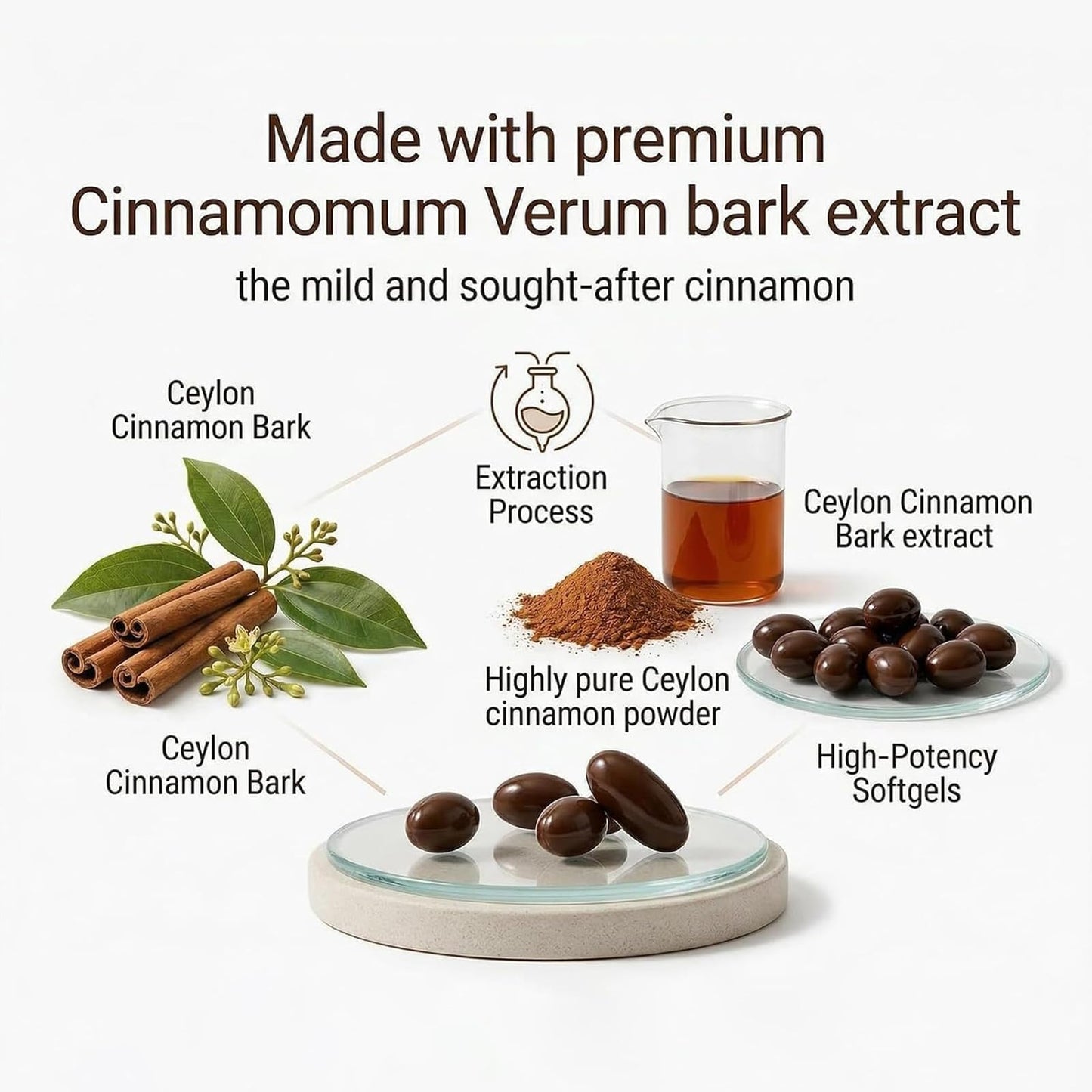 Elorita Ceylon Cinnamon Soft Gels with MCT Oil Capsule, 1 Count