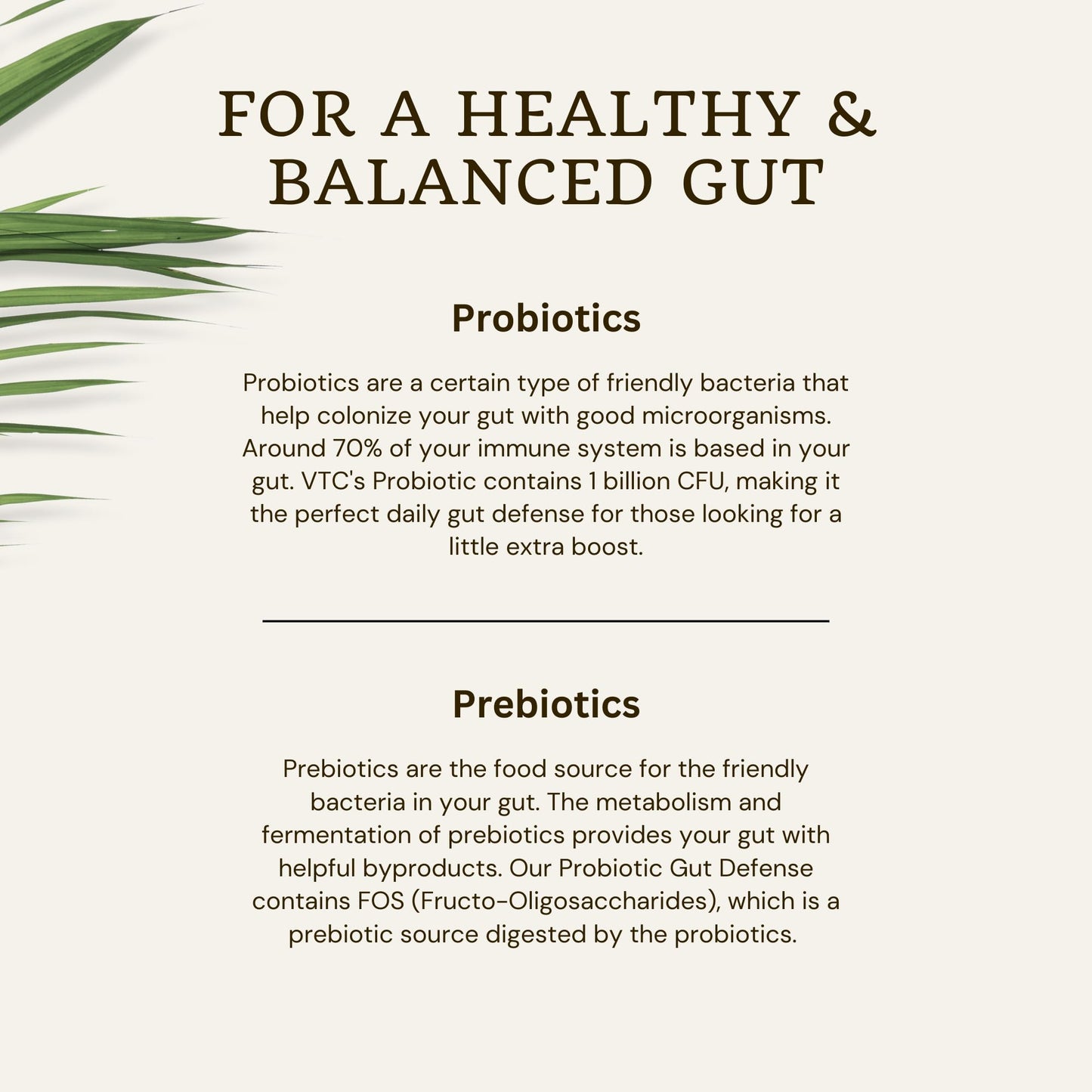 VTC VitaTradingCo. Probiotic Gut Defense Capsules, 90 Count