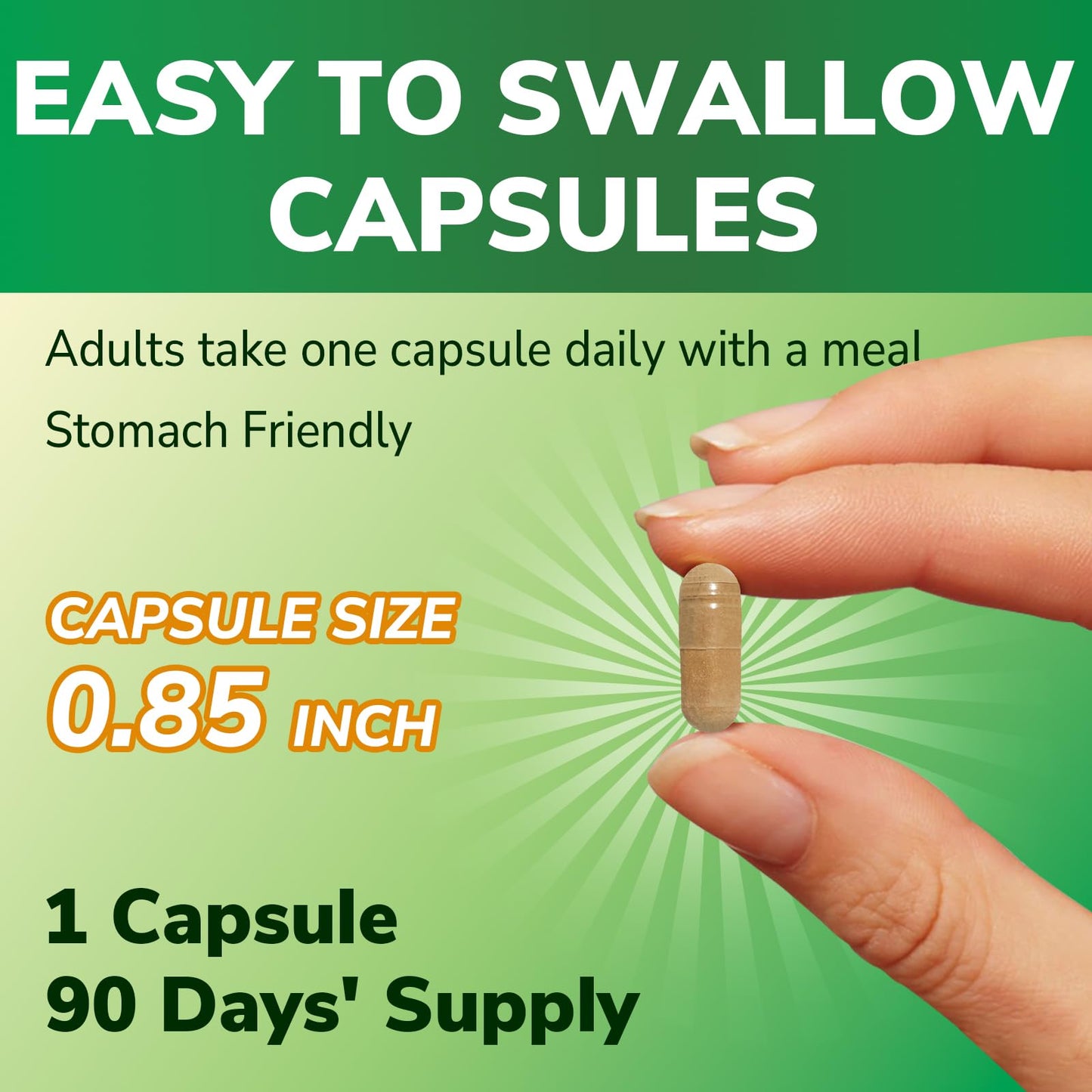 Vitalibre Artichoke Leaf Extract 600 mg Capsule, 90 Count