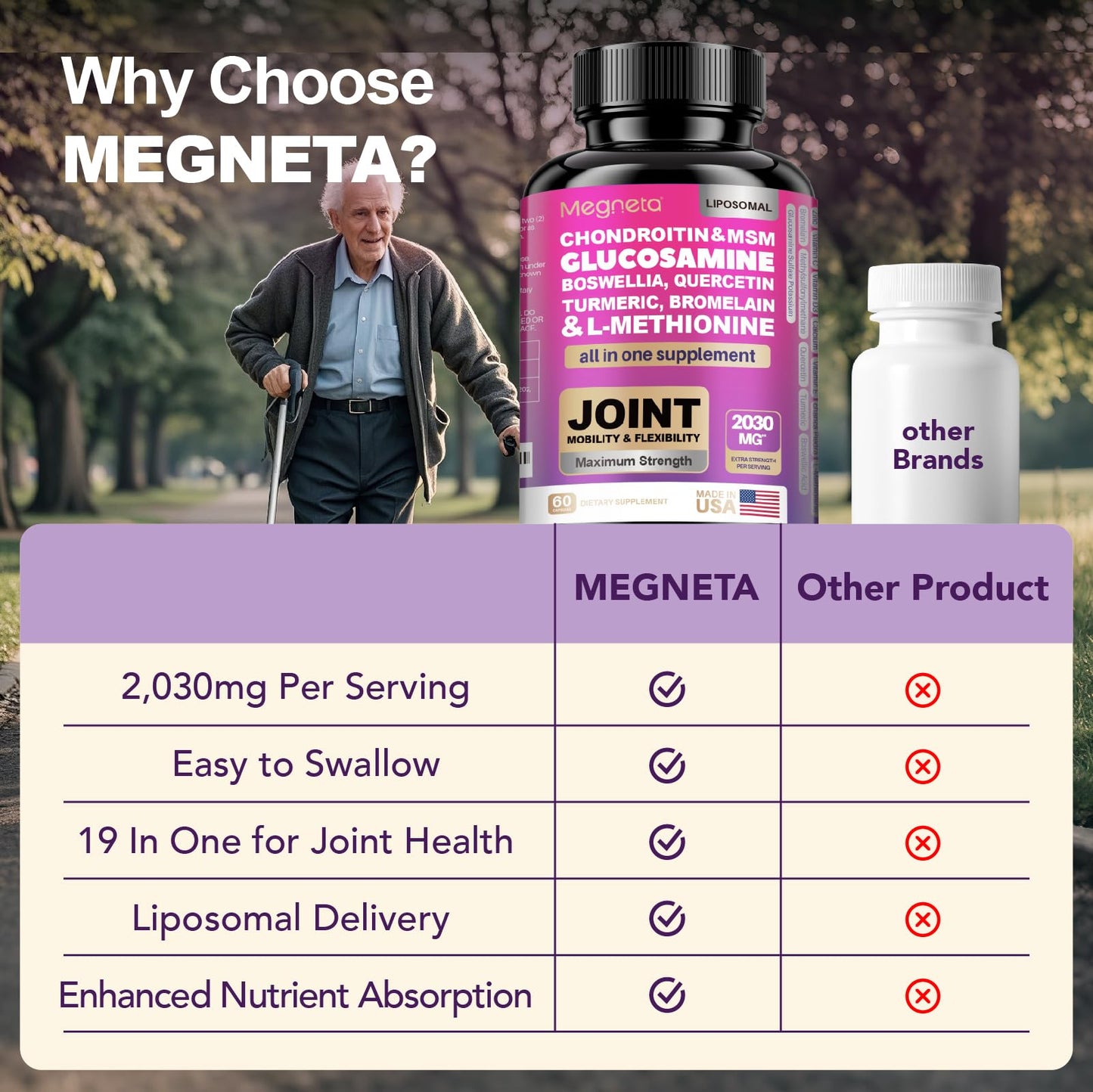 MEGNETA 19-in-1 Joint Support Capsules, 60 Count