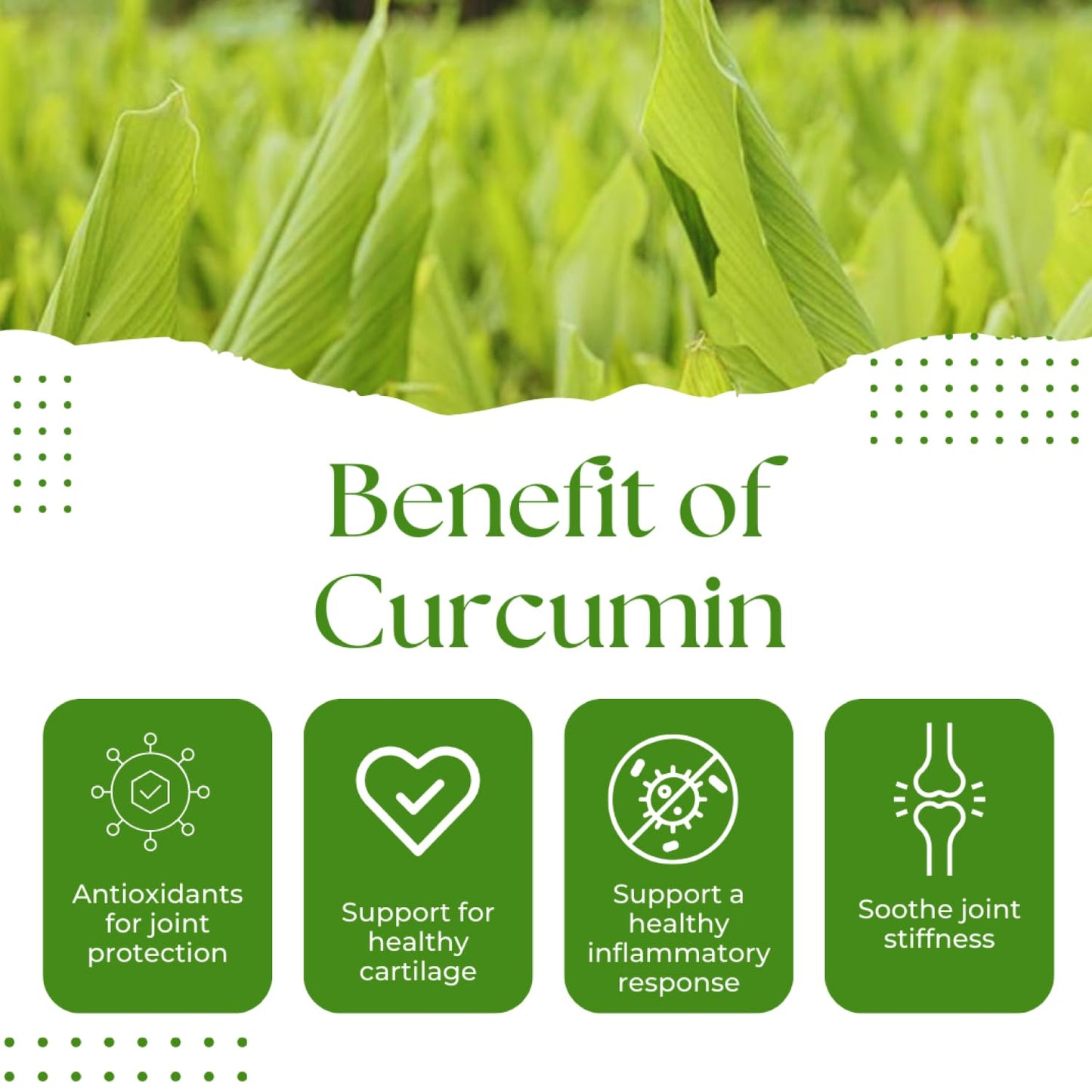 Green Life Org Turmeric Curcumin 750mg Capsule, 60 Count