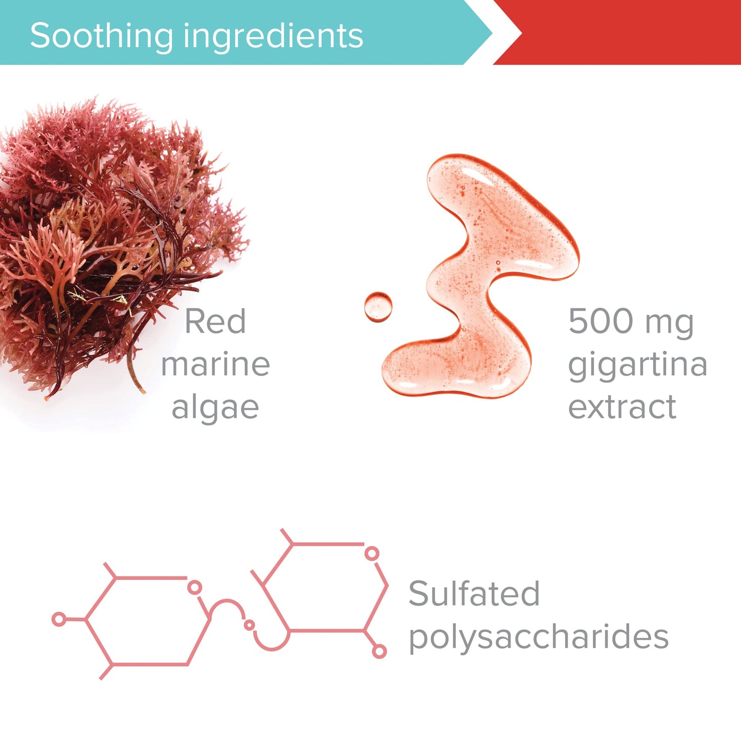 Vibrant Health Gigartina Red Marine Algae Capsules, 60 Count