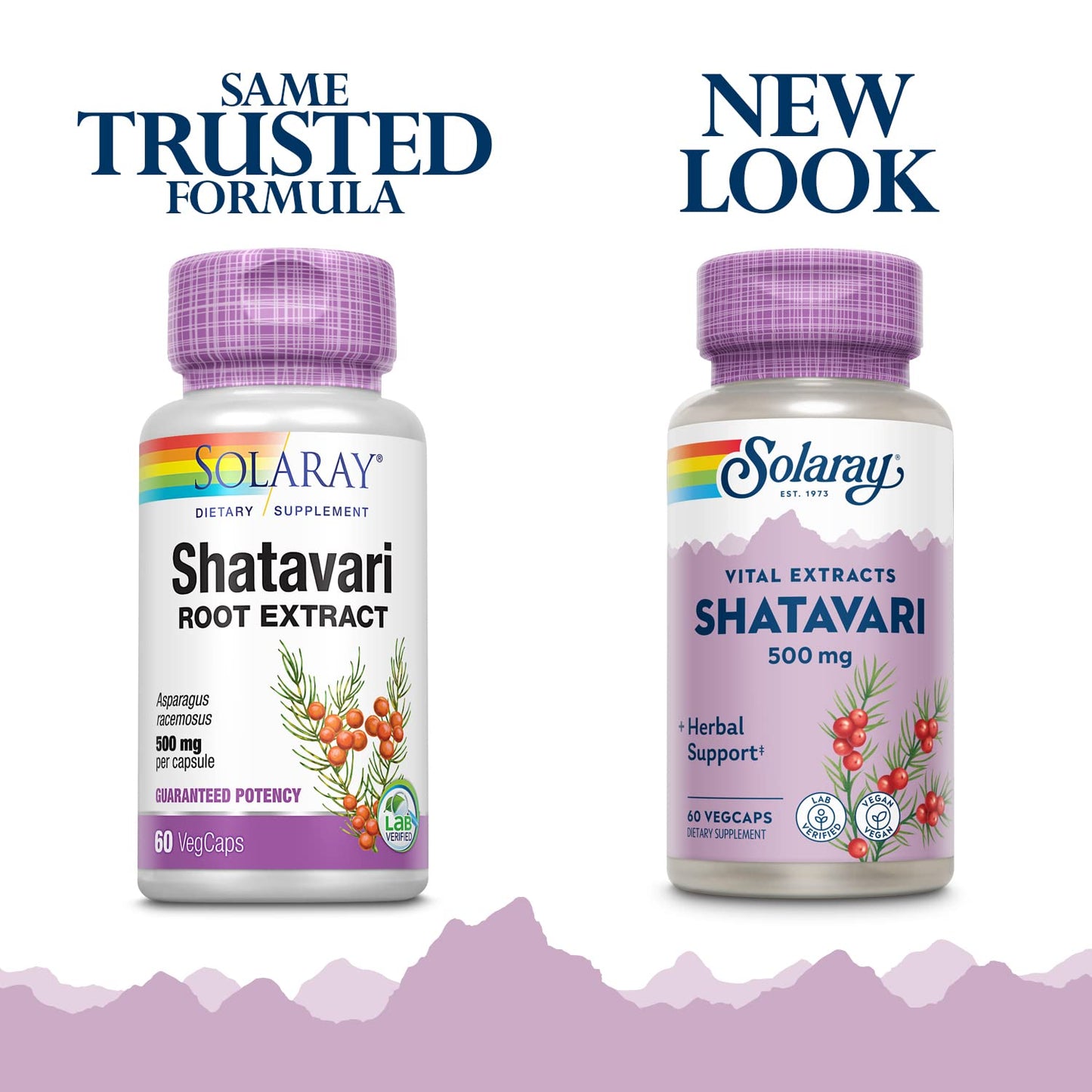 SOLARAY Shatavari Root Extract Capsule, 60 Count