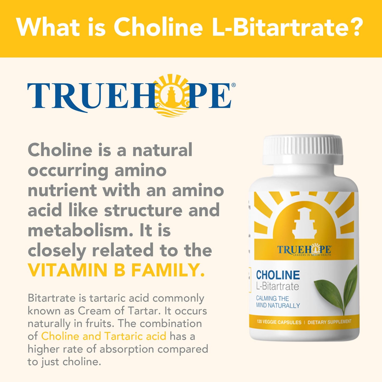 Truehope Choline L-Bitartrate Brain & Liver Support Supplement – High Absorption from Natural Bitartrate Form | Cognitive Function & Memory, Capsules 120
