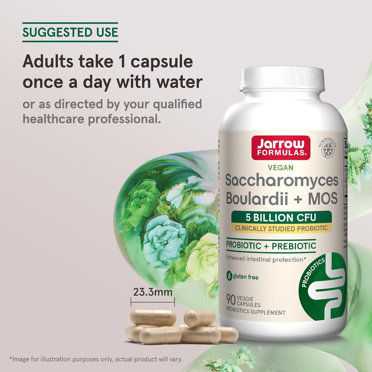 Jarrow Formulas Saccharomyces boulardii + MOS Probiotic + Prebiotic Delayed Release Veggie Capsules, 5 Billion Viable Organisms Per Serving, 180 Capsules
