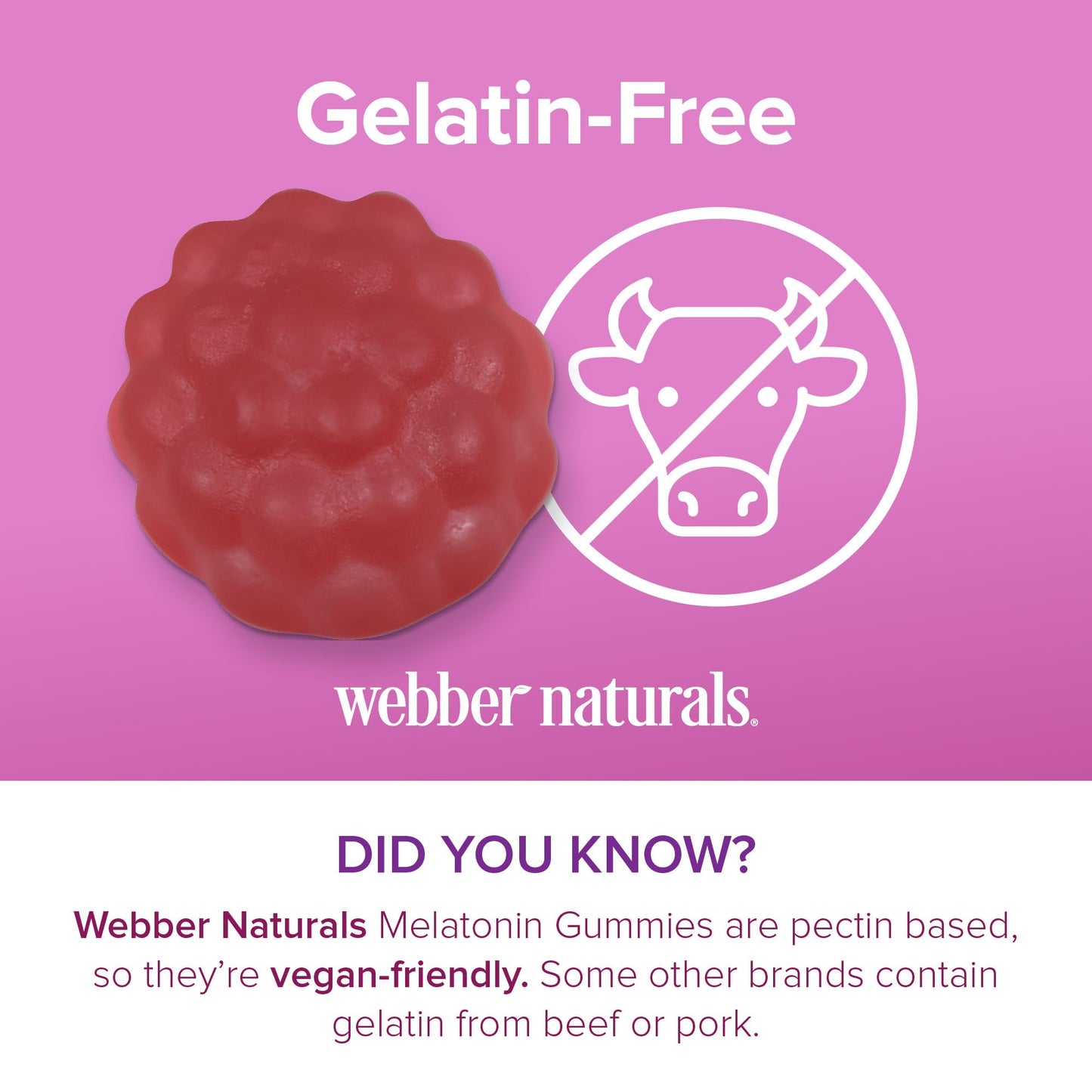 Webber Naturals Melatonin Softgels 90 Count