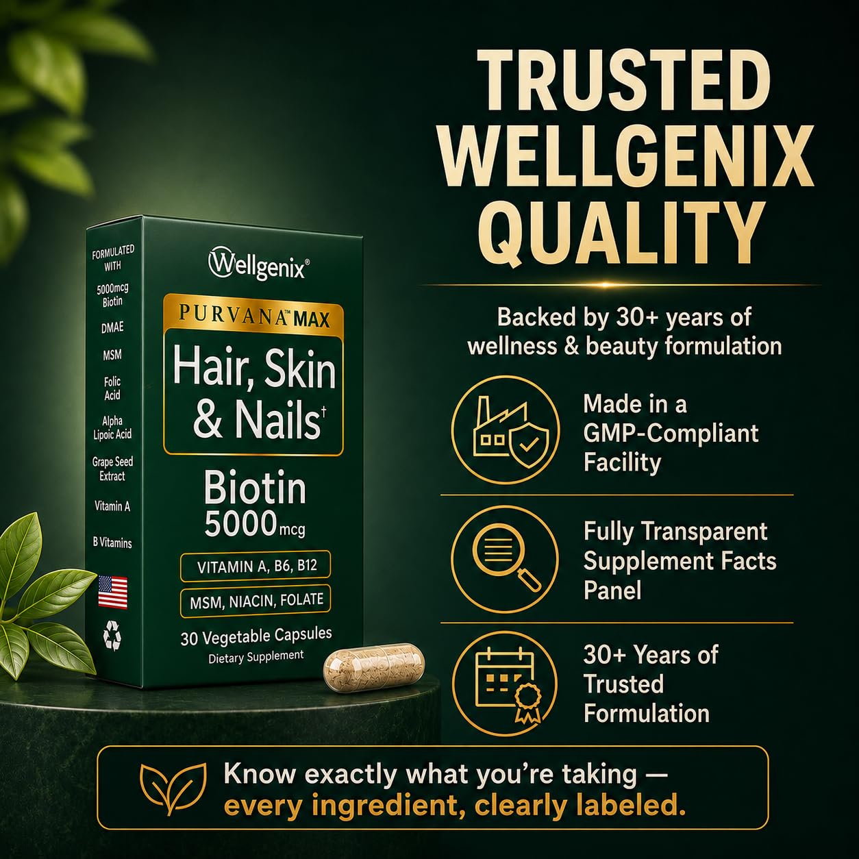 Wellgenix Purvana MAX Hair Skin & Nails Biotin 5000, 60 Capsules