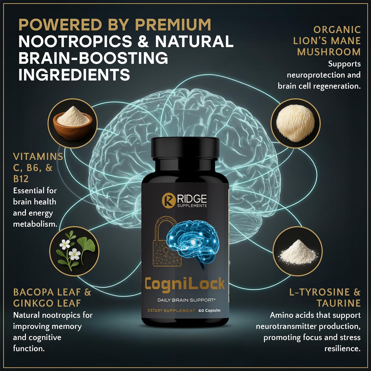 RIDGE SUPPLEMENTS 12-in-1 Nootropic Brain Supplement Capsules, 60 Count