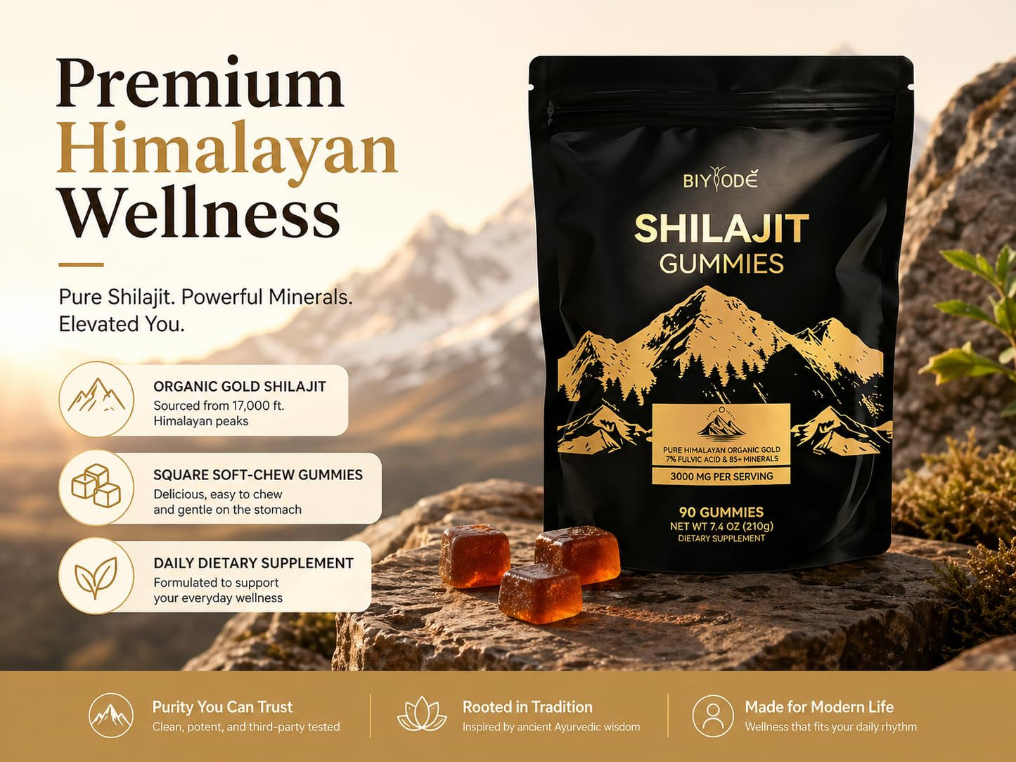 BIYODE Shilajit Gummies 90 Gummies