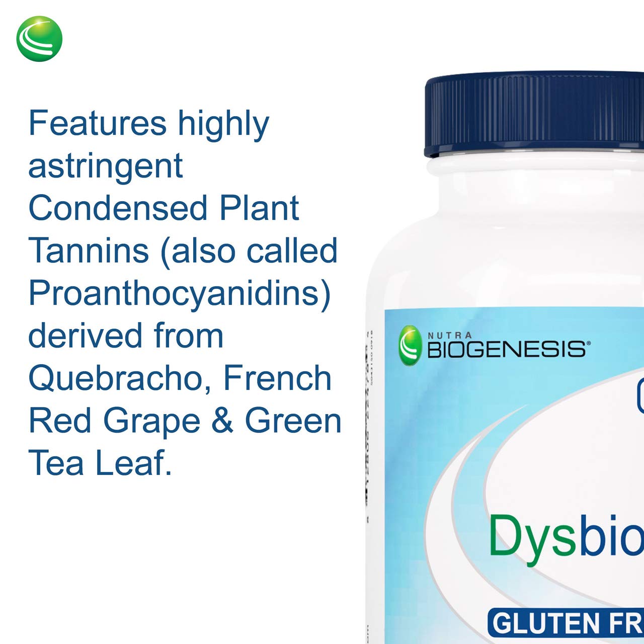 Nutra BioGenesis DysbioX Green Tea Capsule, 60 Count