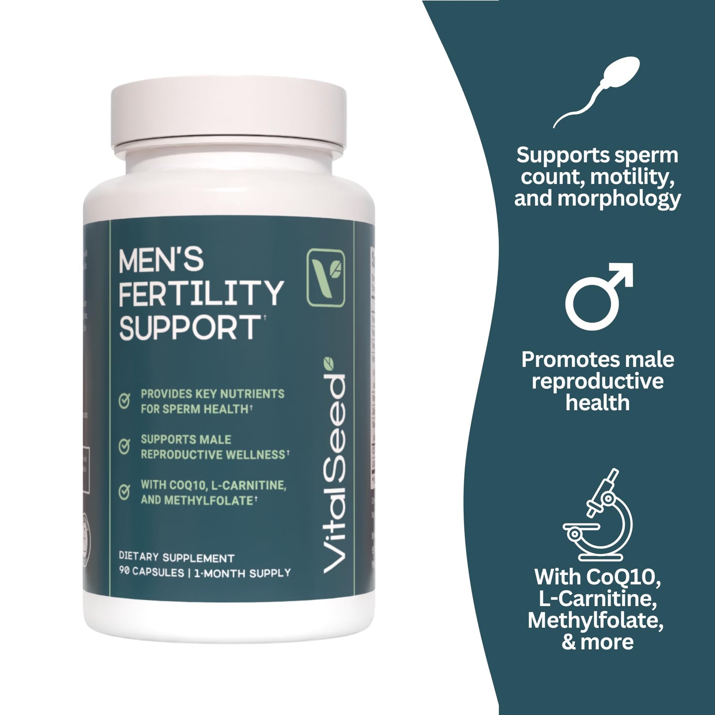 Vital Seed Fertility Support for Men - Sperm Health Prenatal with CoQ10, Zinc, Folate, L-Carnitine & More, 90 Capsules