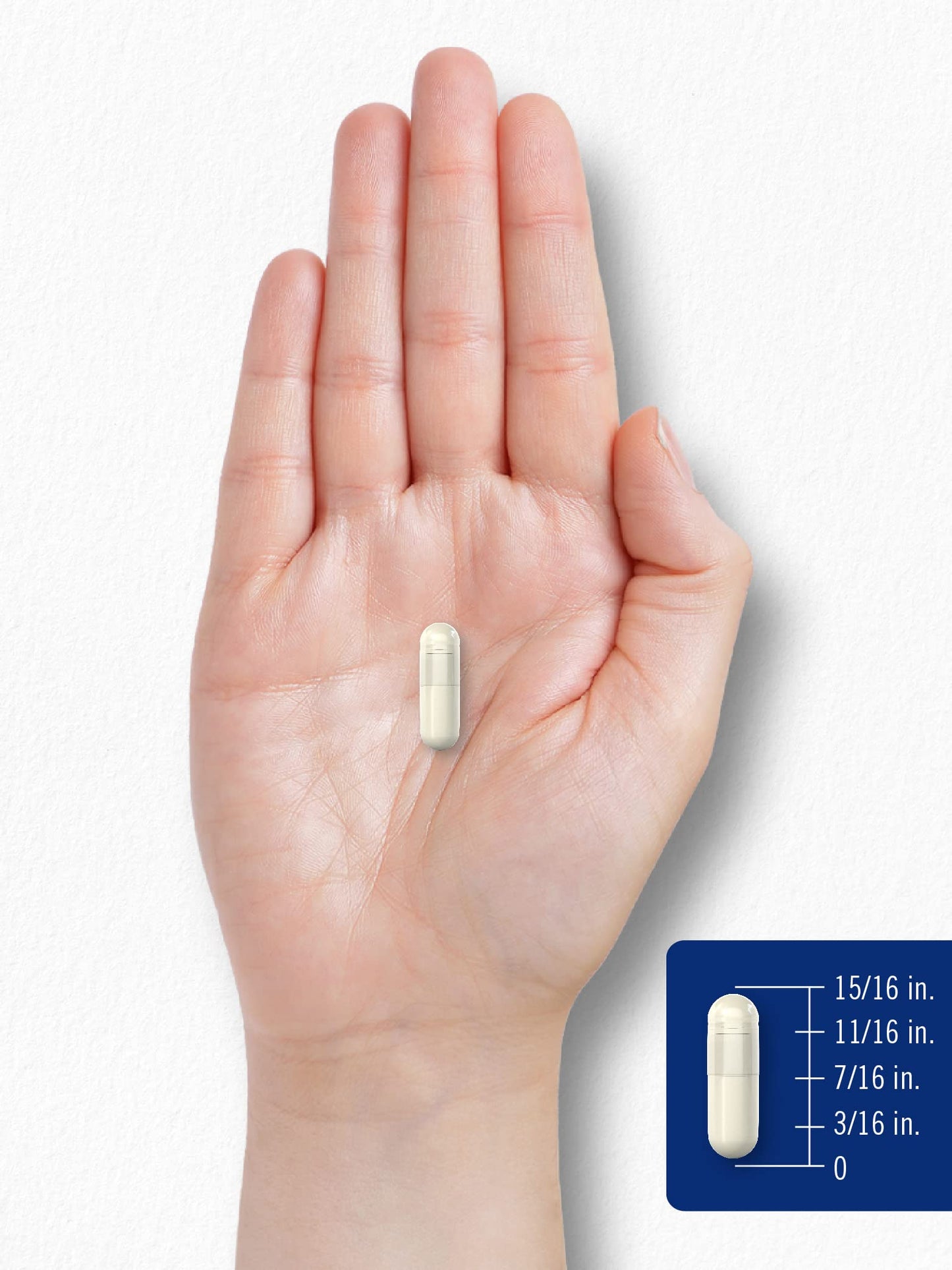 Carlyle Chitosan Supplement 1200mg Capsules 120 Count