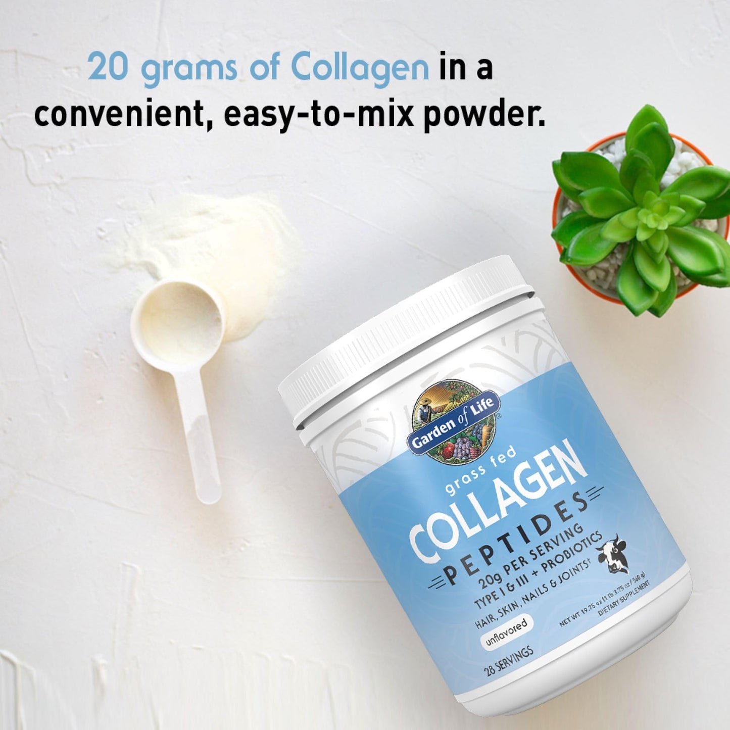 Garden of Life Power Bundle – Collagen Peptides Powder Unflavored, 28 Servings + Vegan Vanilla Protein Powder with BCAAs, Probiotics & Enzymes, 20 Servings