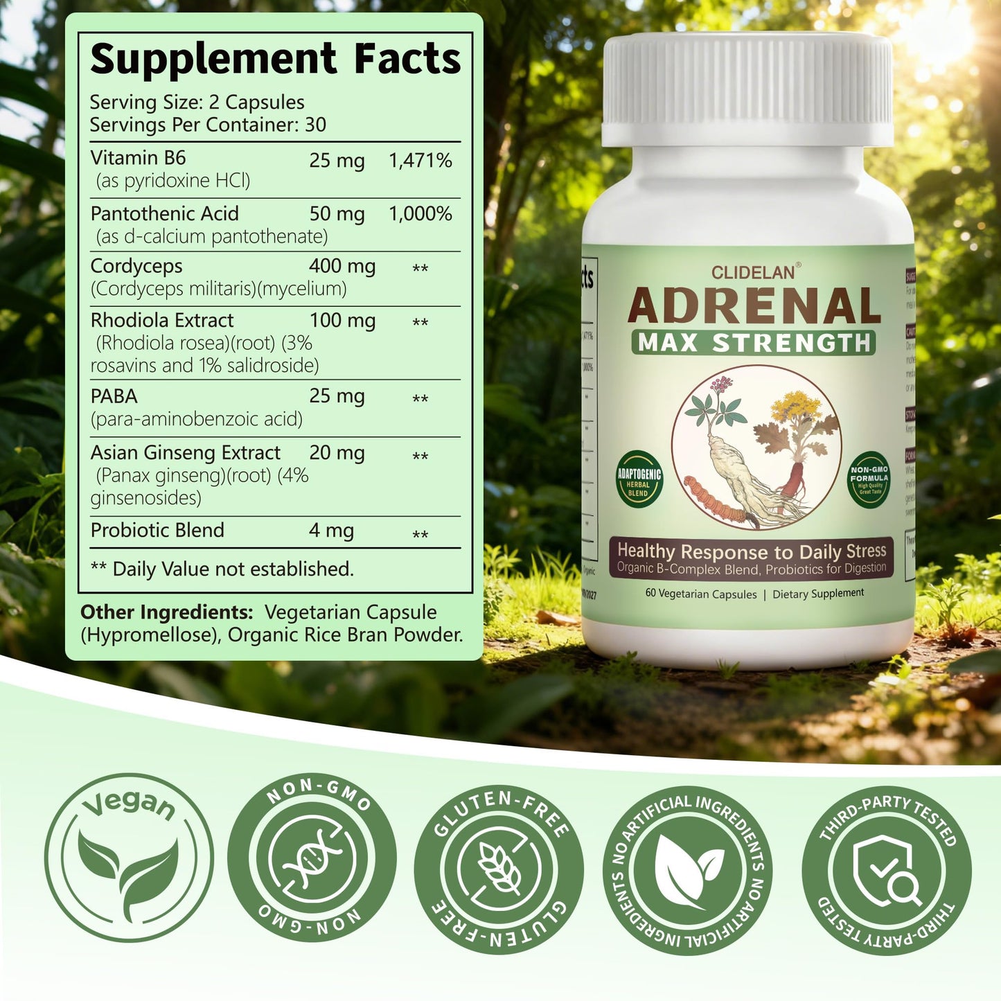 Clidelan Adrenal Support Supplements for Daily Balance Capsules, 60 Capsules