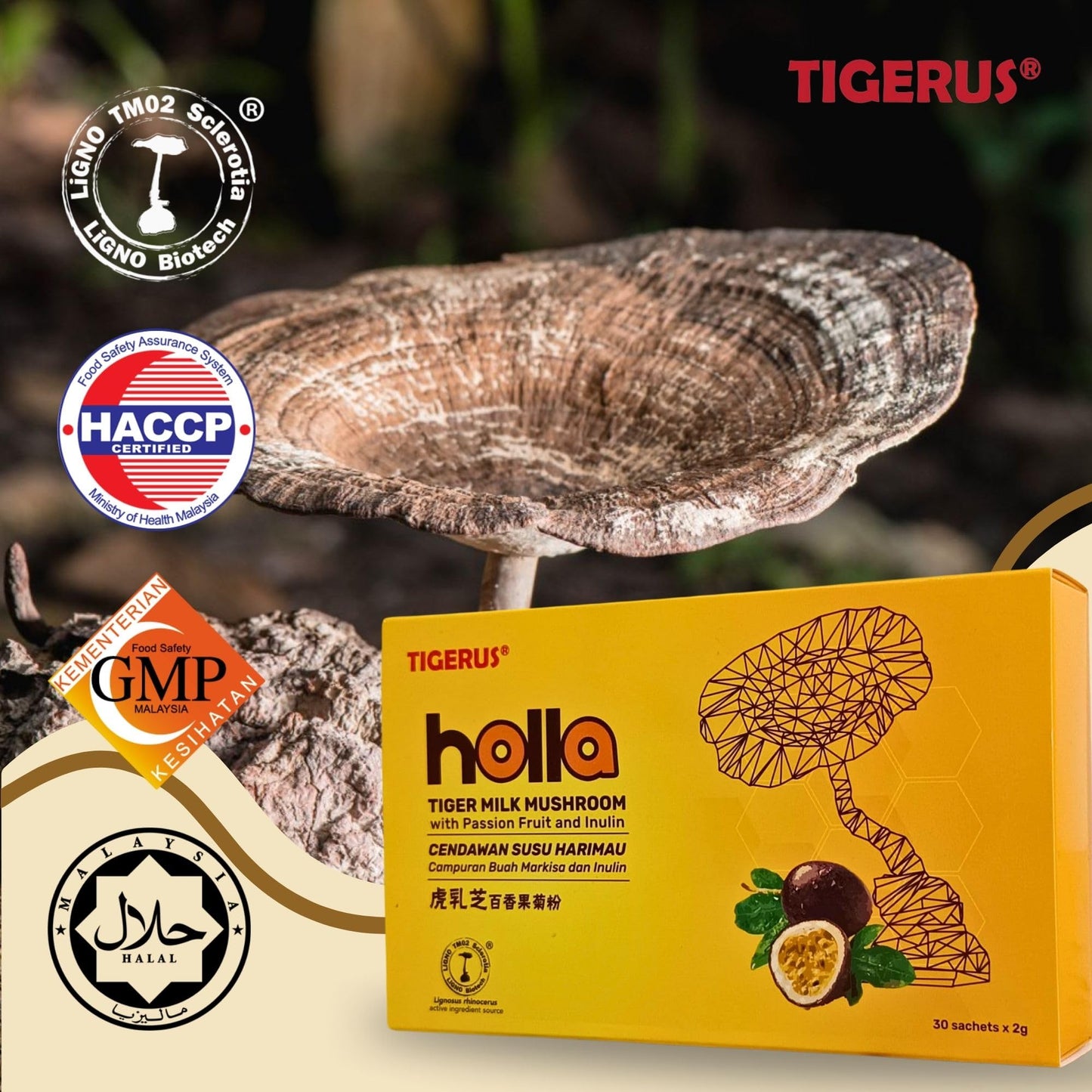 TIGERUS Holla Tiger Milk Mushroom with Passion Fruit and Inulin Powder 0.07 oz