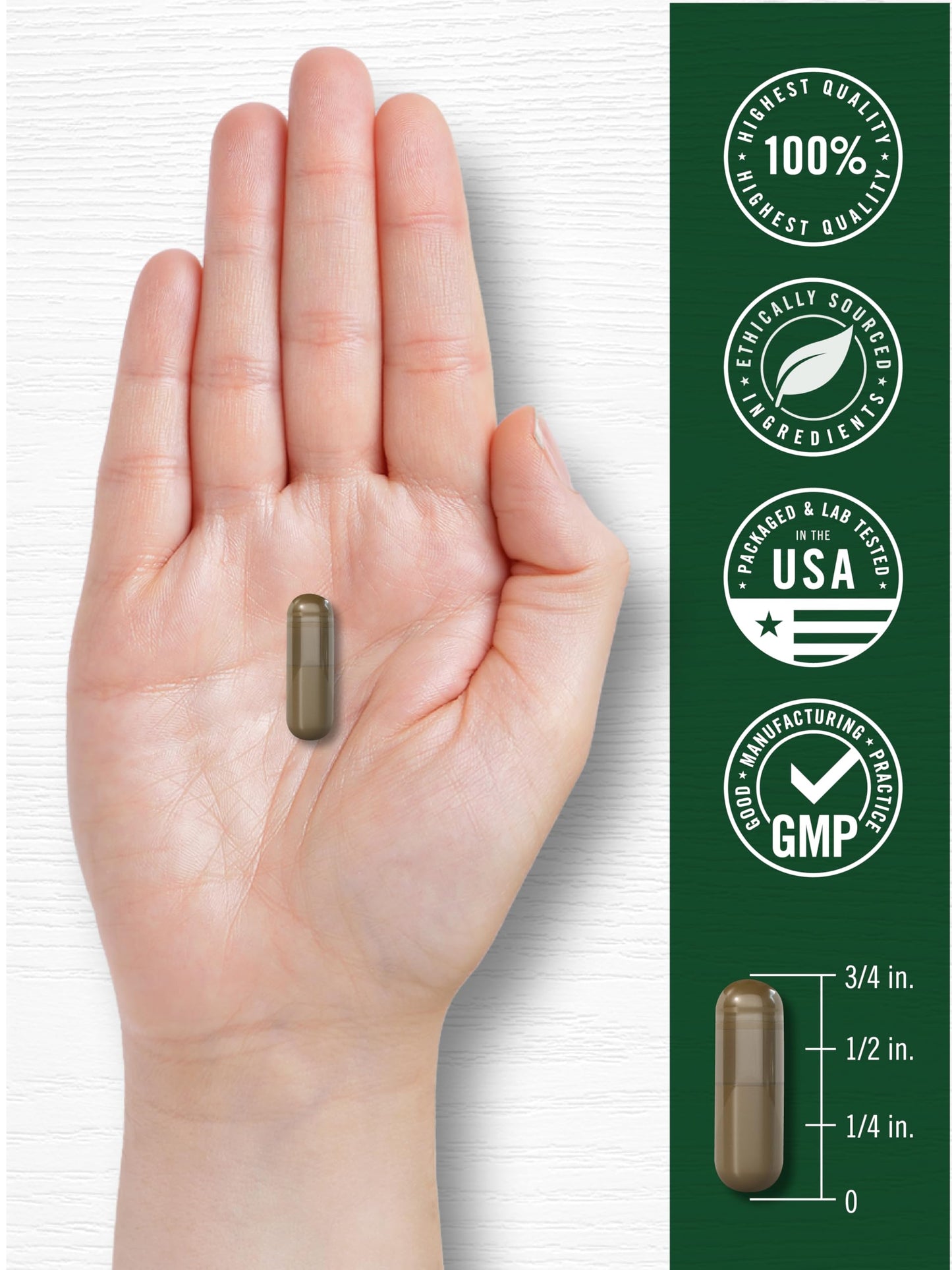 Carlyle Wild Lettuce Extract Capsule, 200 Count