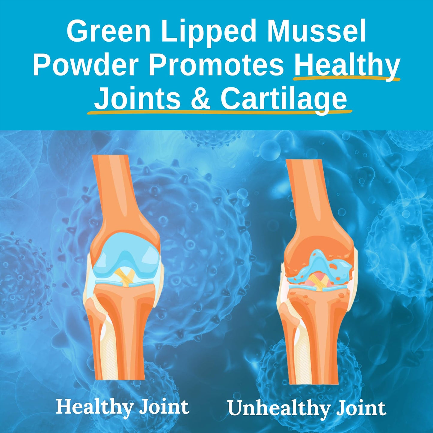 Xtendlife Green Lipped Mussel Supplement Capsule 360