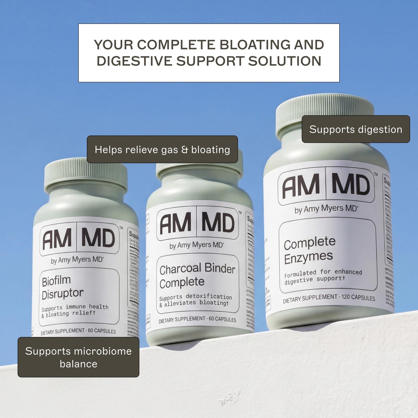 Amy Myers MD Coconut Charcoal 60 Capsules