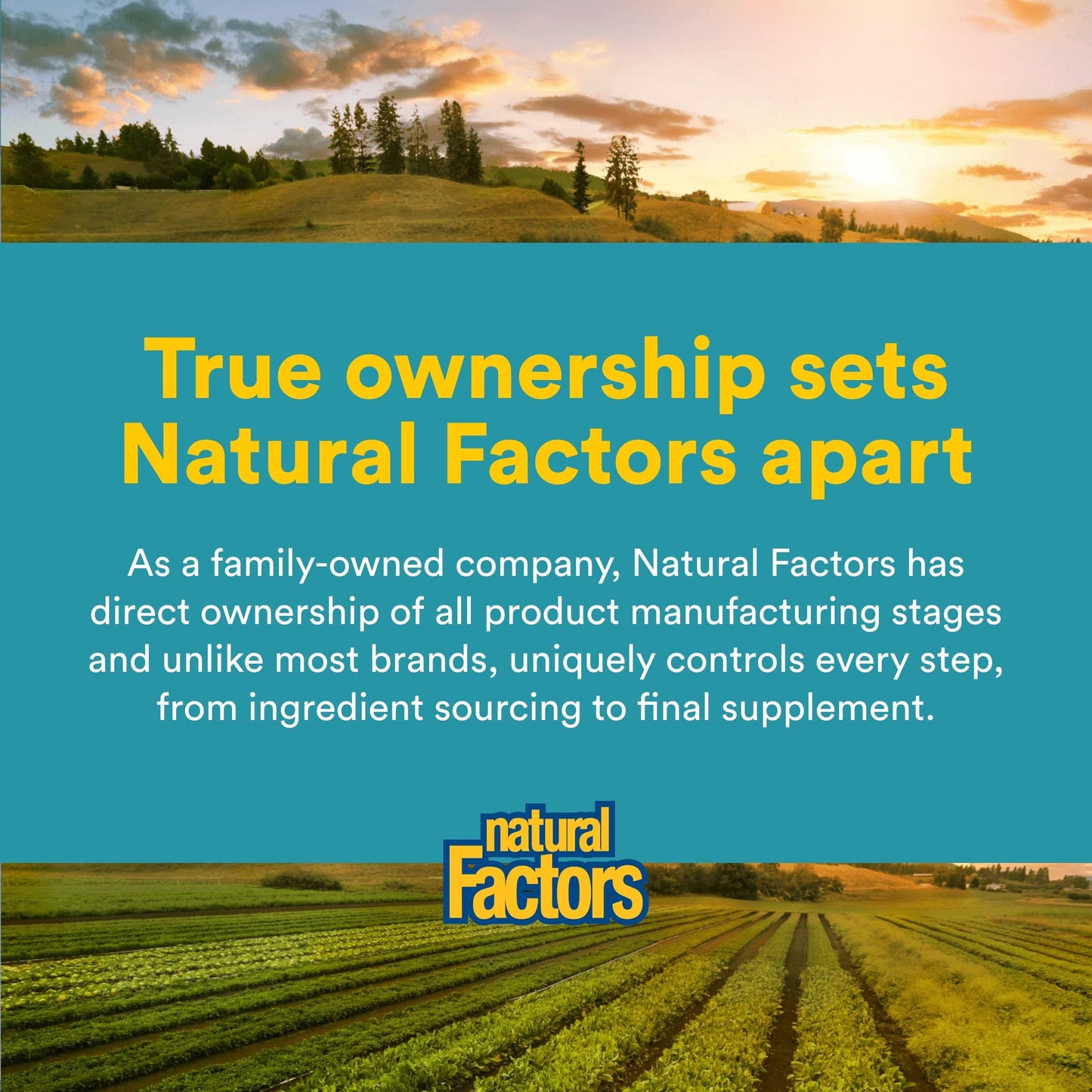 Natural Factors Phosphatidyl Choline (PC) 420mg 90 Softgels