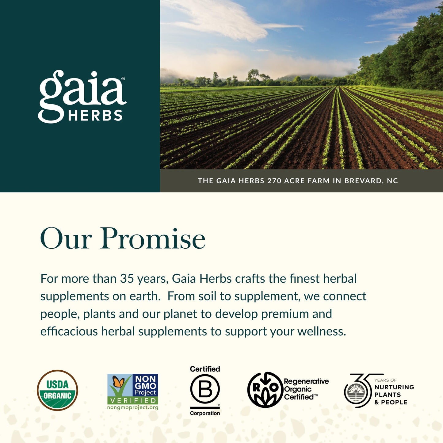 Gaia Herbs Quercetin Synergy - Supports Immune Health* - Wellemon Lemon Fruit Extract Capsules, 50