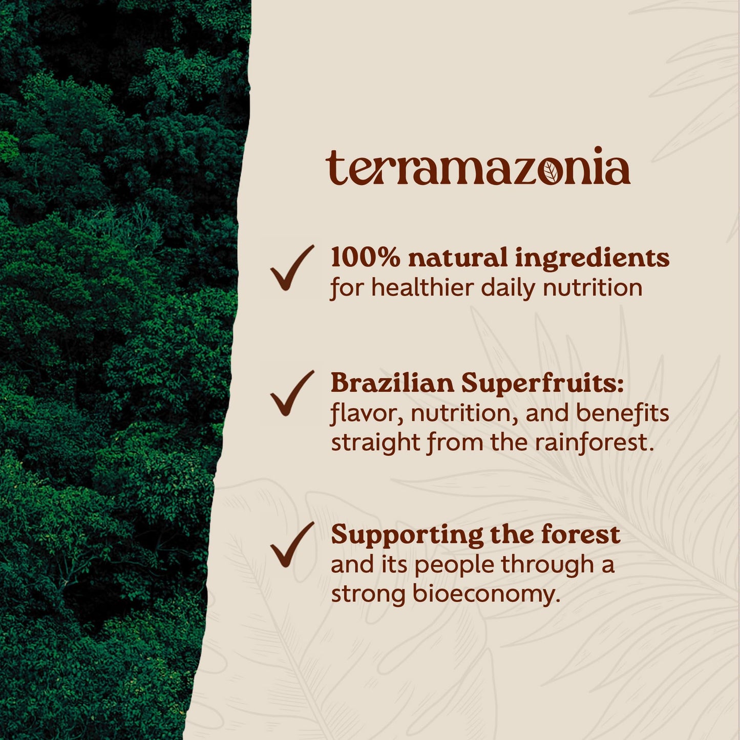 Terramazonia Açaí Powder Superfood Powder, 8 oz