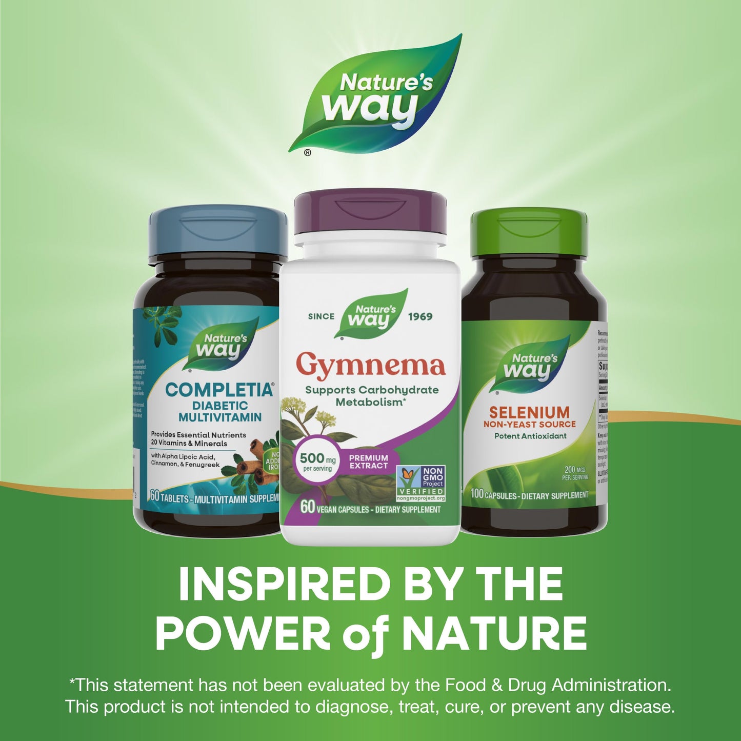 Nature's Way Gymnema Premium Extract Capsule, 60 Capsules