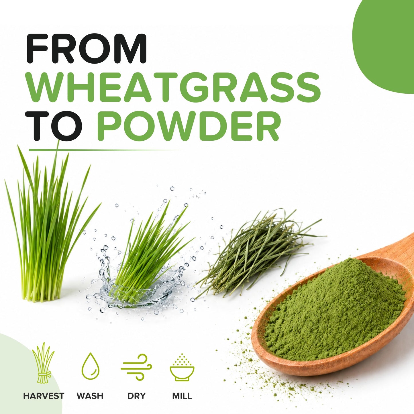 b Organic Wheatgrass Powder 1 Count
