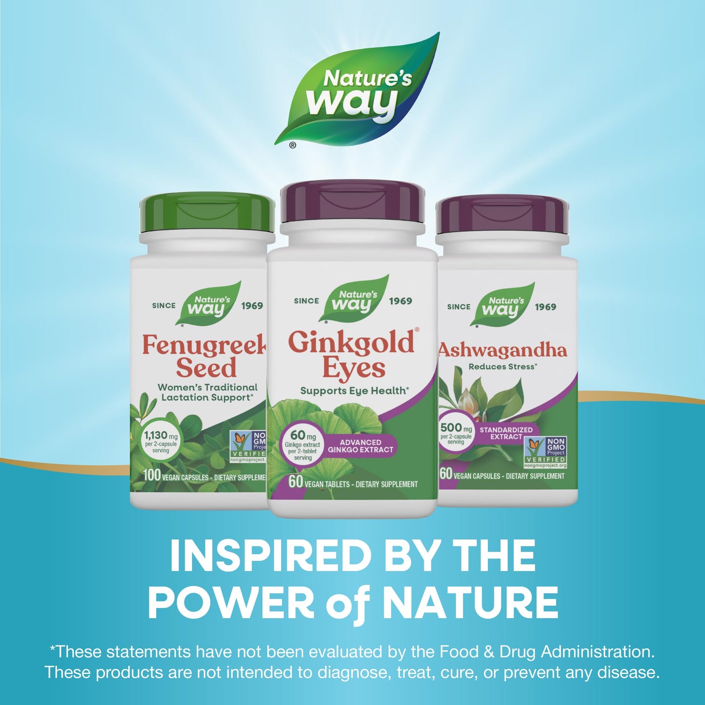 Nature's Way Ginkgold Eyes Ginkgo Biloba Tablets 60
