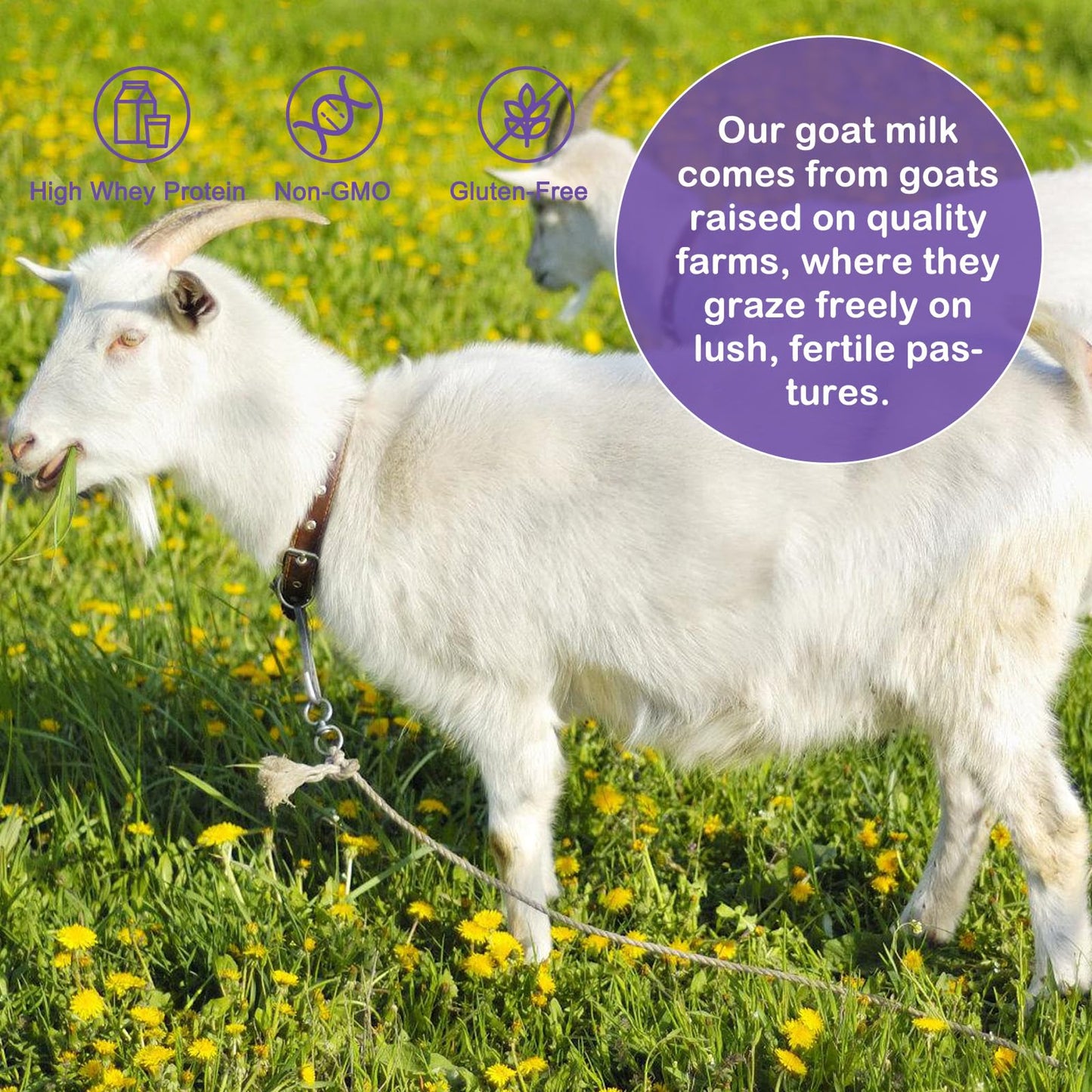 ZOXY Goat Colostrum 100 Capsules
