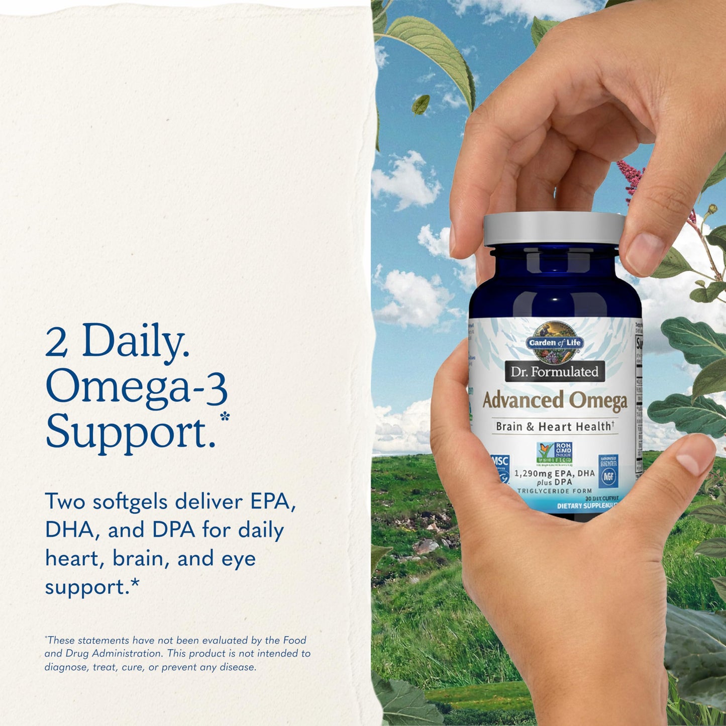 Garden of Life Dr. Formulated Advanced Omega Fish Oil Softgels 60