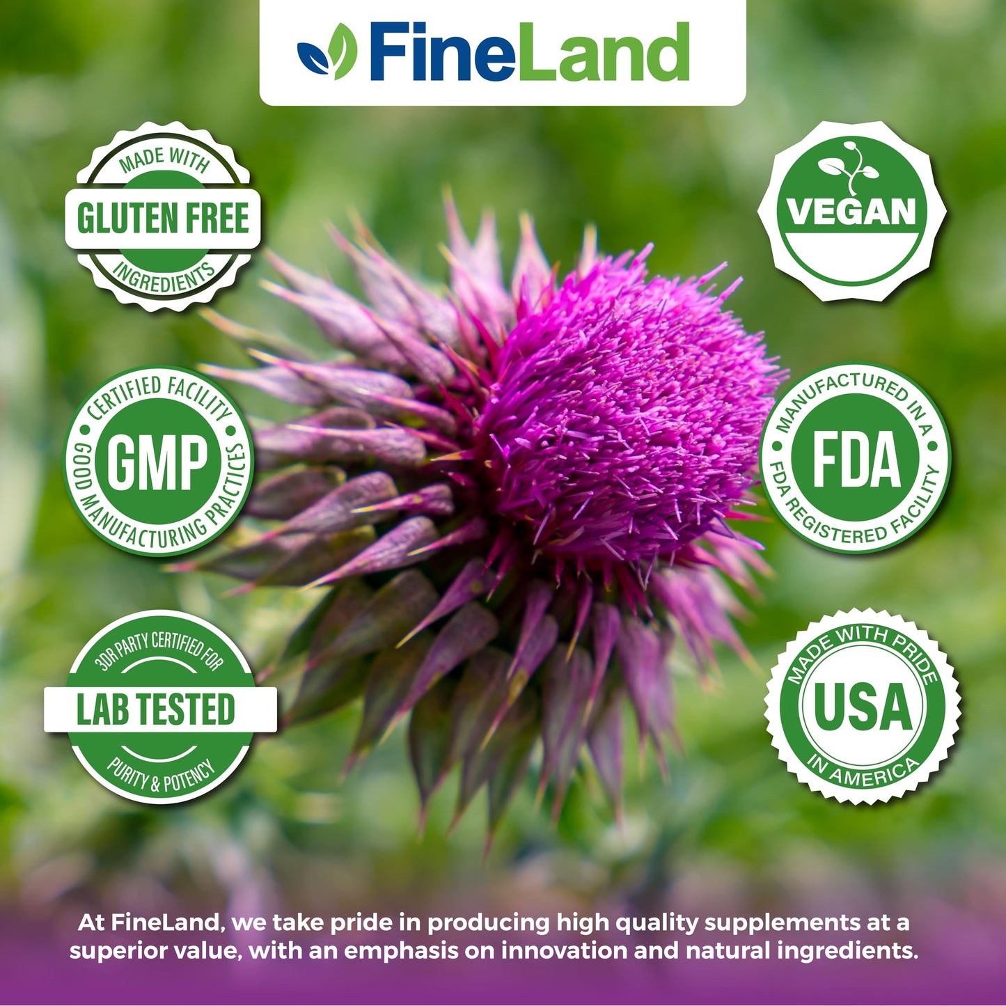 FineLand Milk Thistle 50:1 Extract with 80% Silymarin Capsules, 120 Count