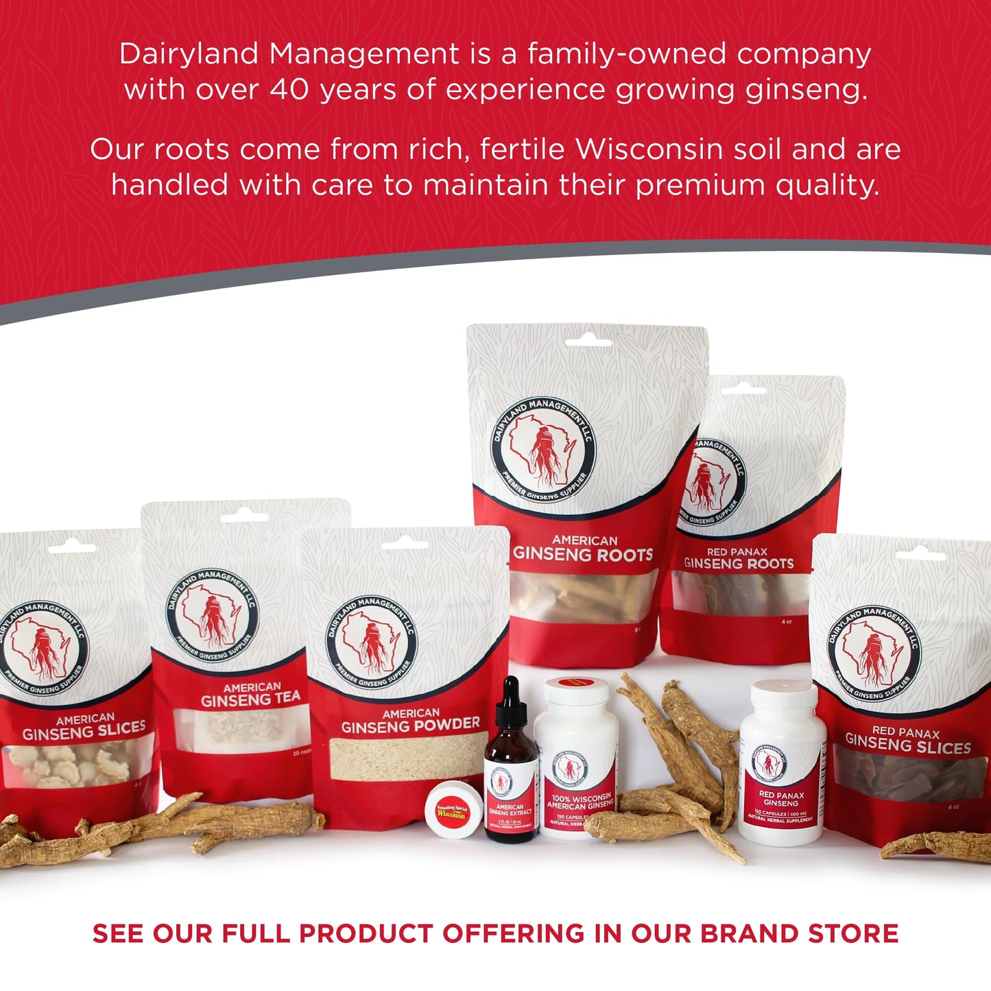 Dairyland Management LLC Red Panax Ginseng with Natural Ginsenosides Powder, 8 oz