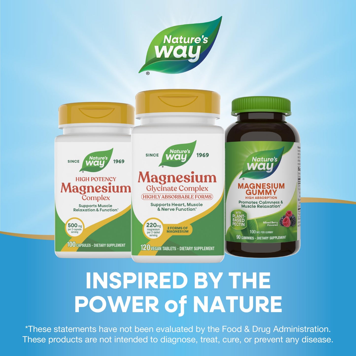 Nature's Way Magnesium Glycinate Complex, 120 Capsules