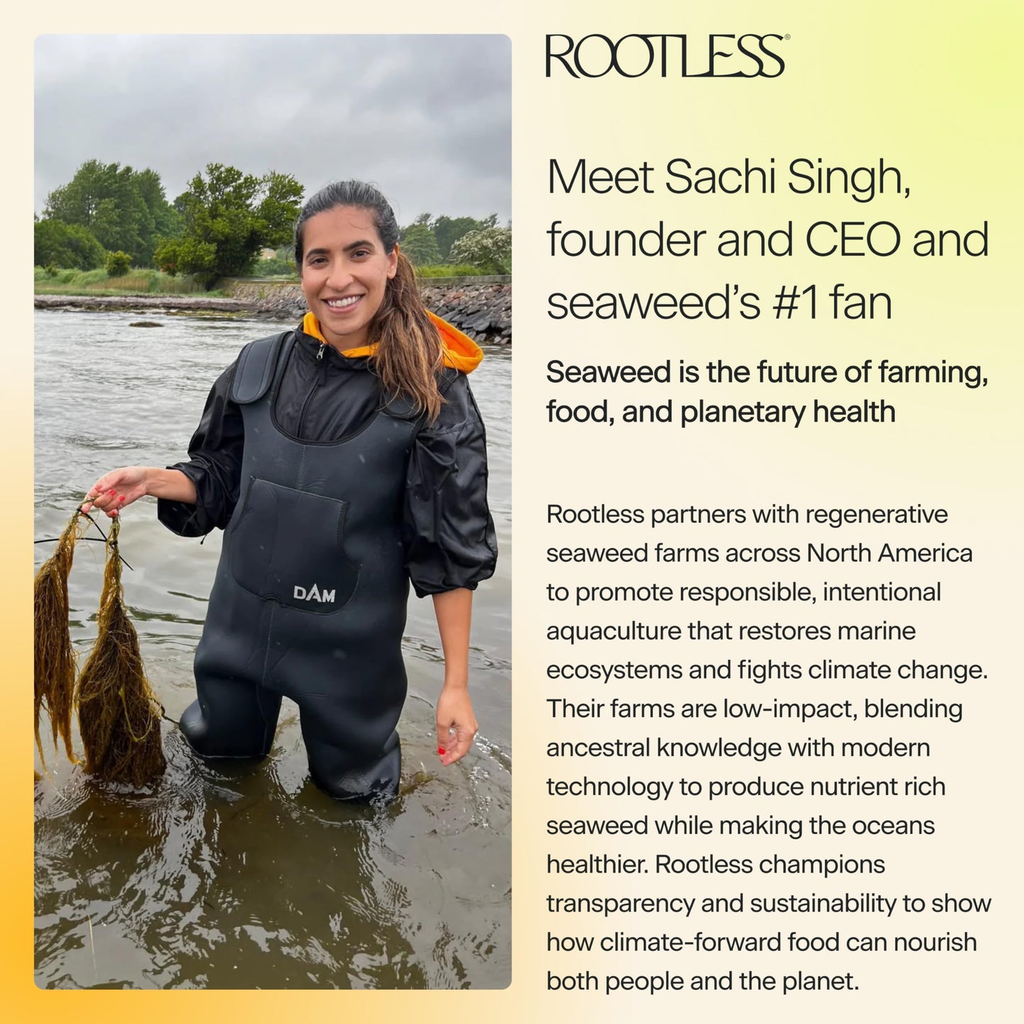 Rootless Daily Bites for Hormone Health Chewable 28-Count