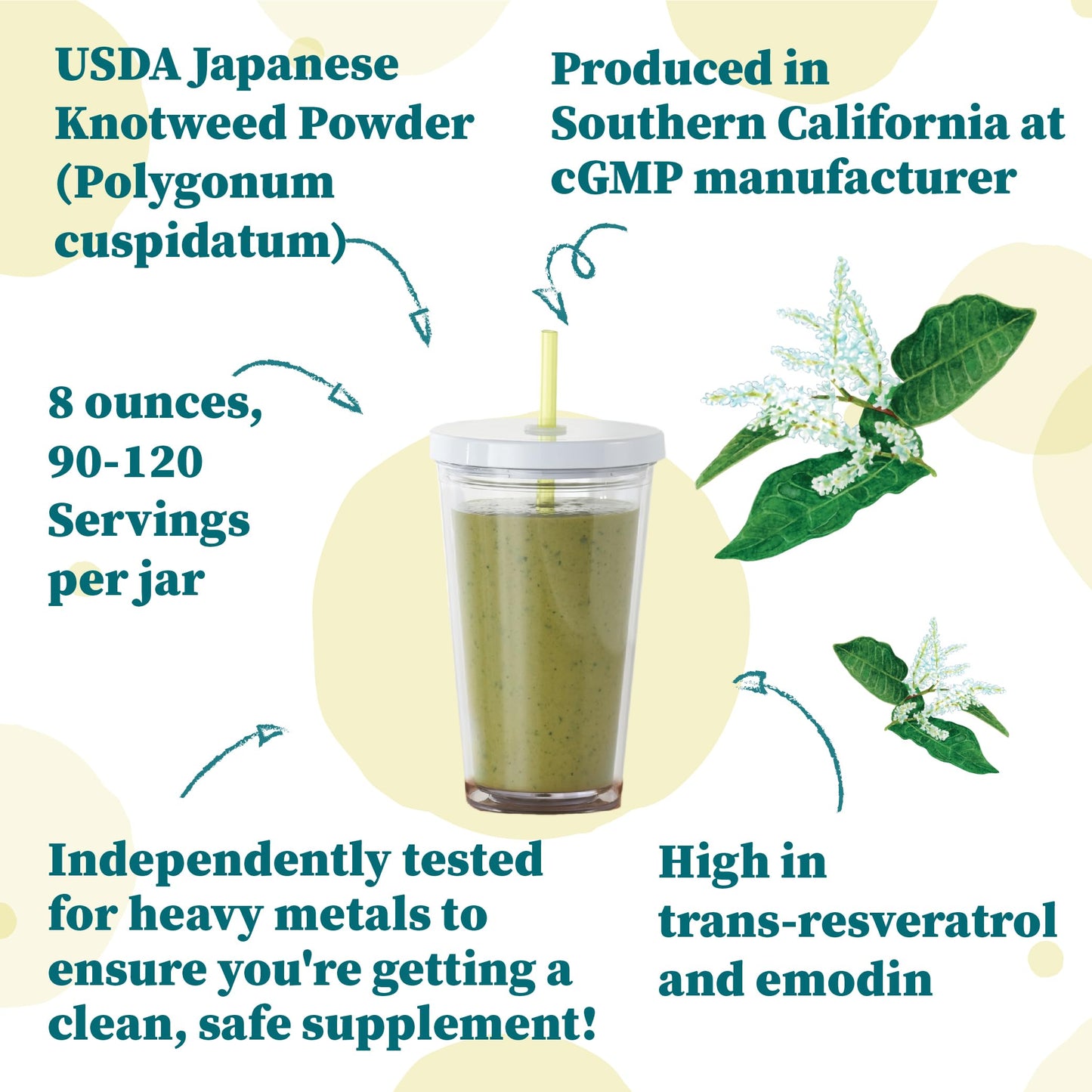 Nature Restore Japanese Knotweed Powder, USDA Certified Organic, 7.97 Ounce (Pack of 1)