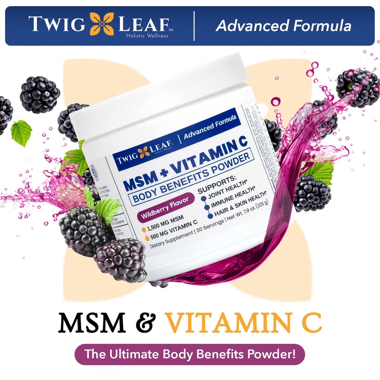 Twig & Leaf MSM + Vitamin C Body Benefits Powder 7.9 Ounce