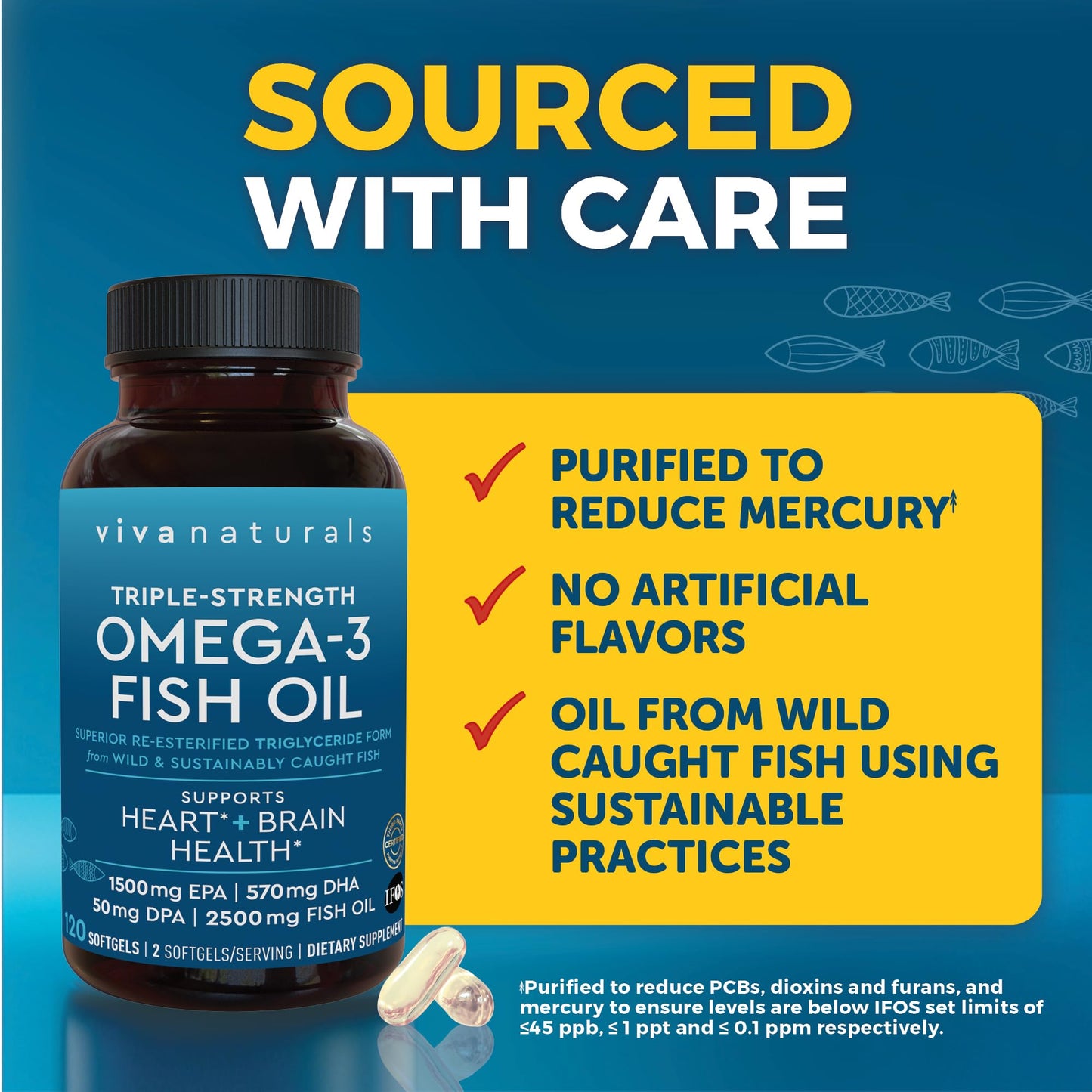 Viva Naturals Omega 3 Fish Oil Supplement Softgels, 120 Count