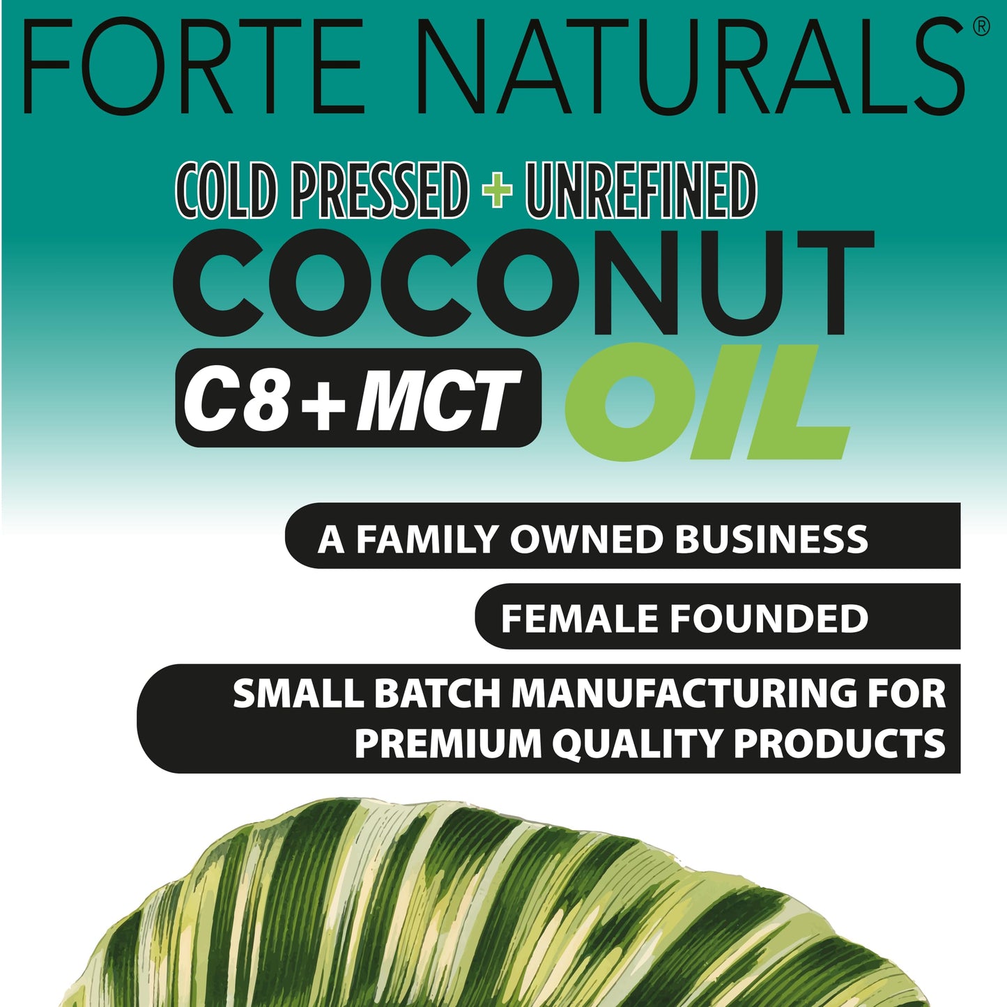 FORTE NATURALS Coconut Oil Softgels 60 Count