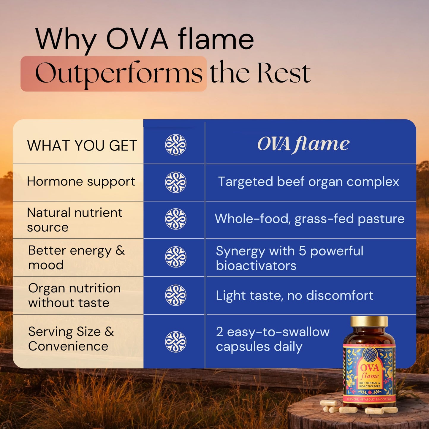 OVA Flame Beef Organ Supplement for Women, 120 Capsules