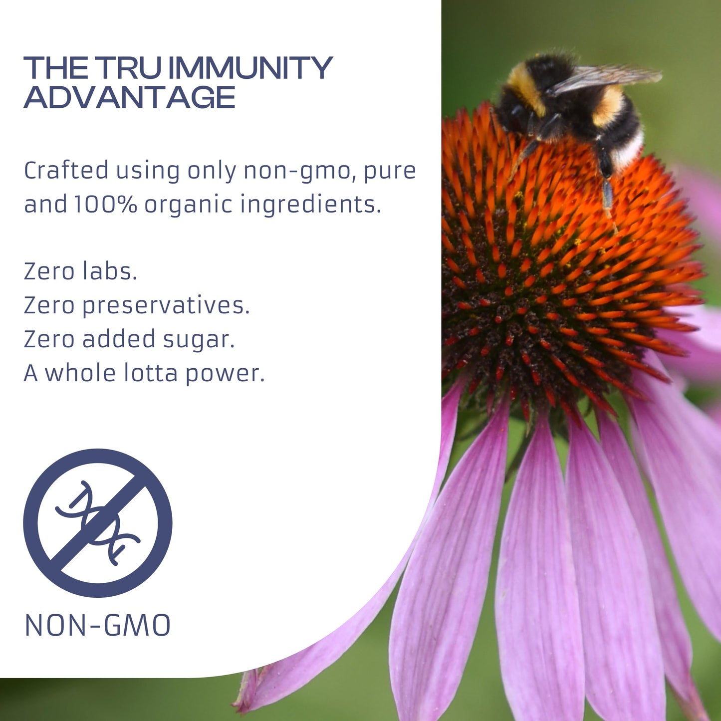 Only Nutri Labs Tru Immunity Dietary Supplement with Elderberry, Propolis, Echinacea, Vitamin C & Beta Glucans Daily Wellness Capsules, 60 Count