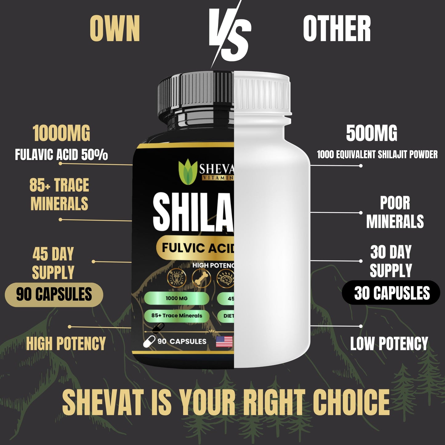 Shevat Vitamins Shilajit Capsules 90 Capsules