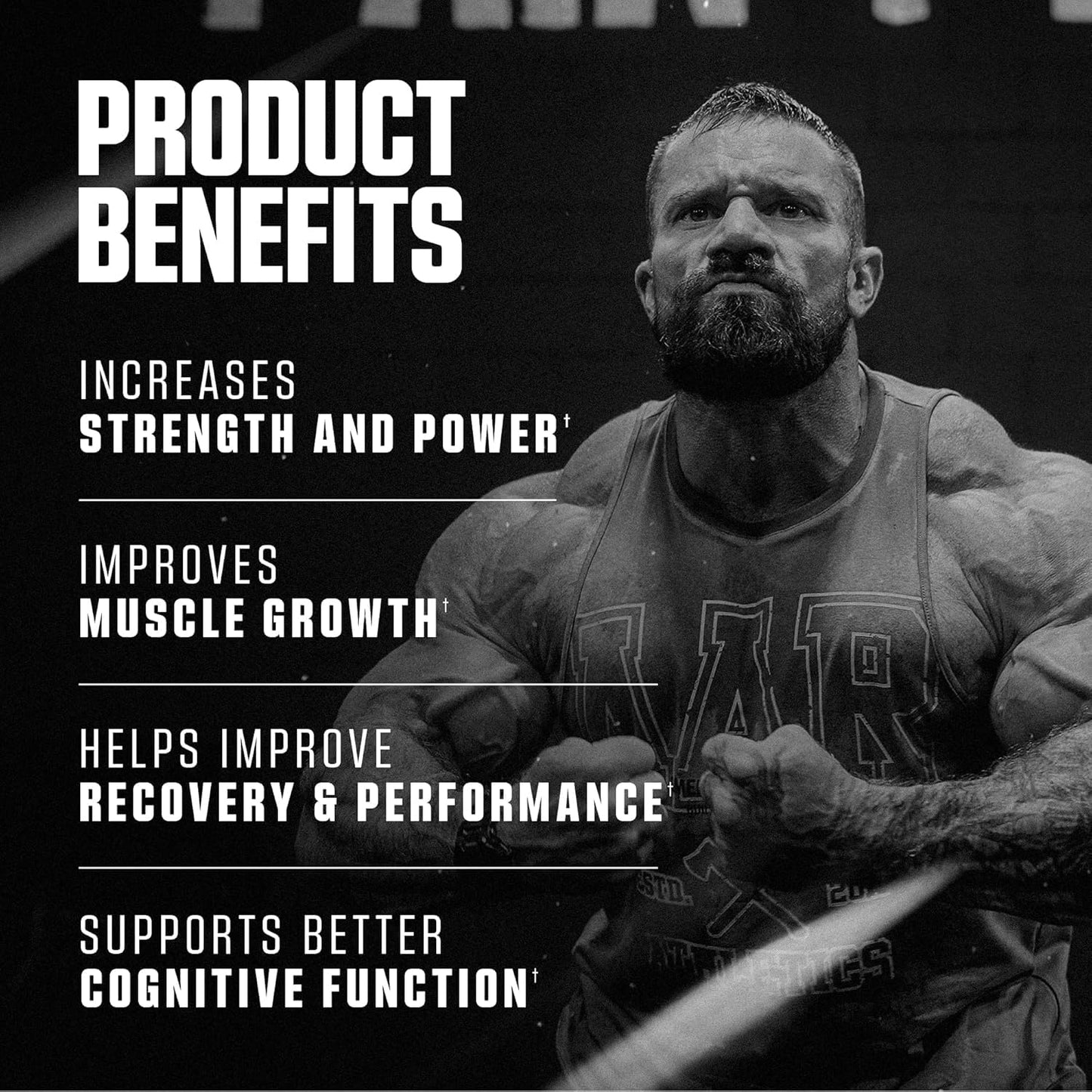 Axe & Sledge Basics Creatine Monohydrate Powder, 100 Servings